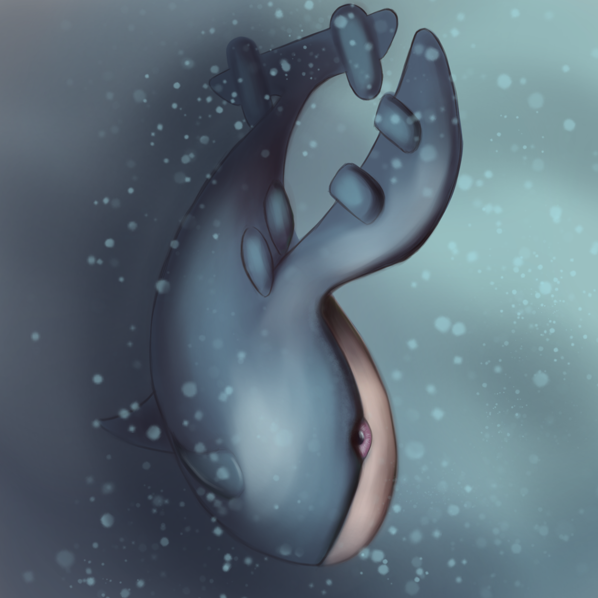 11.png