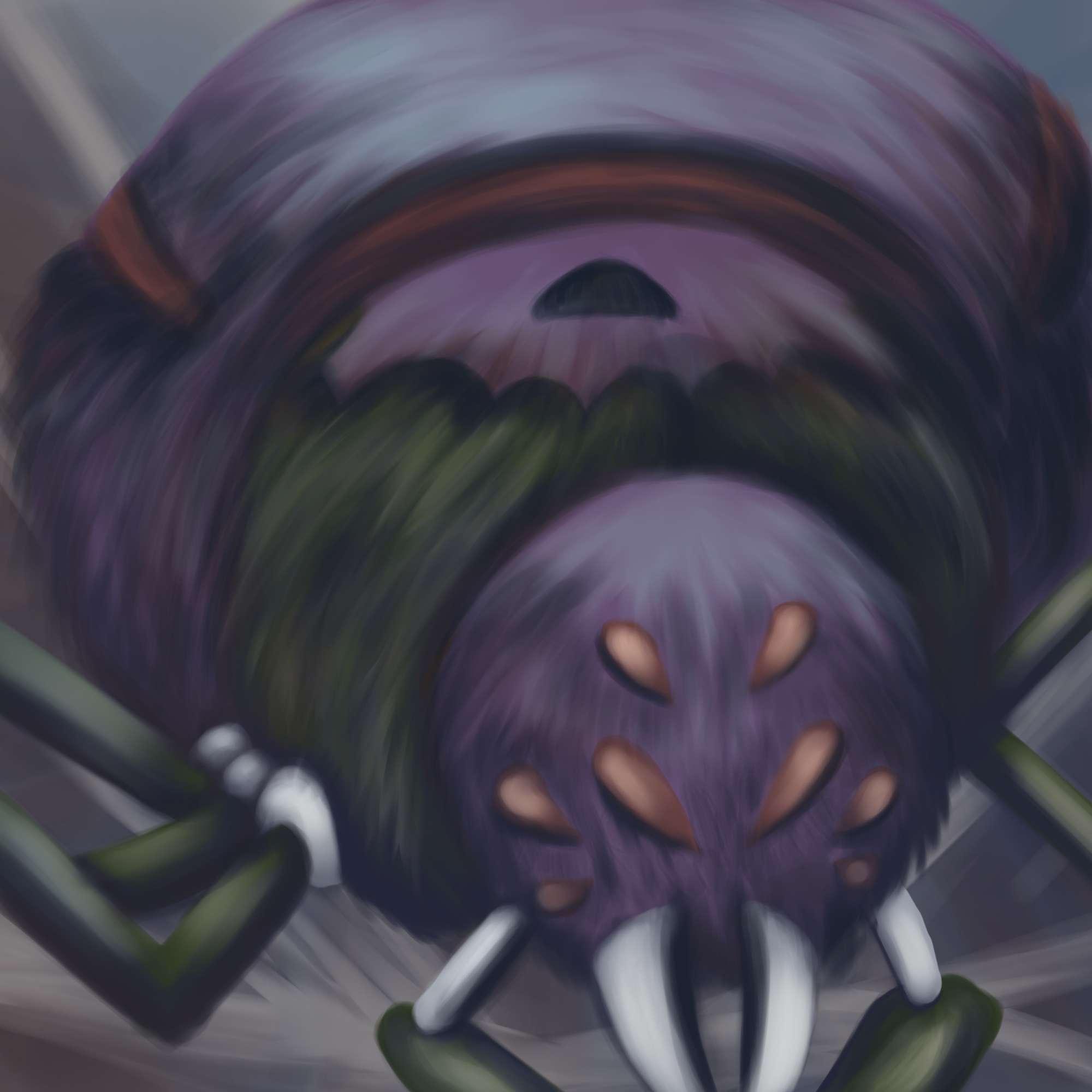 12.png