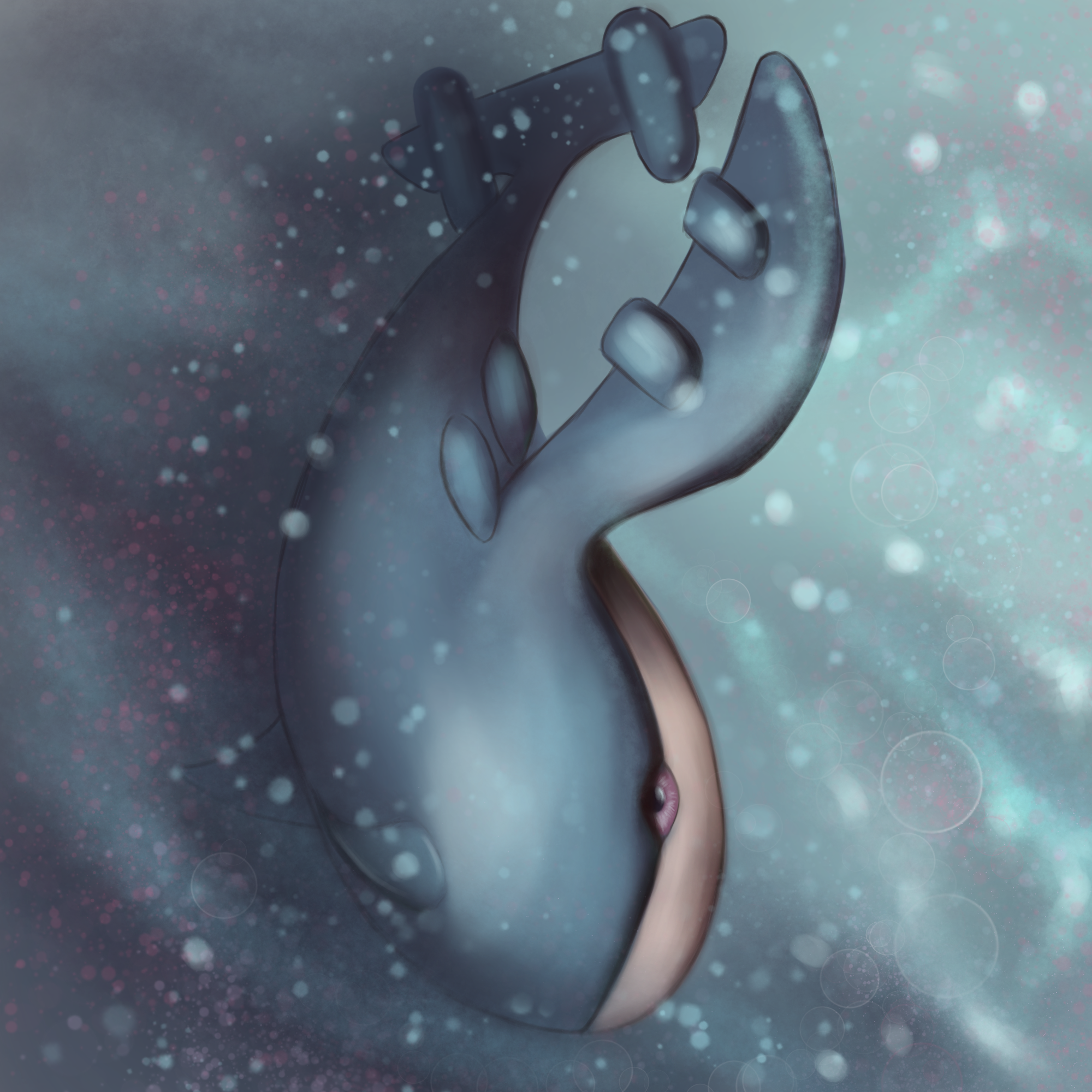 13.png