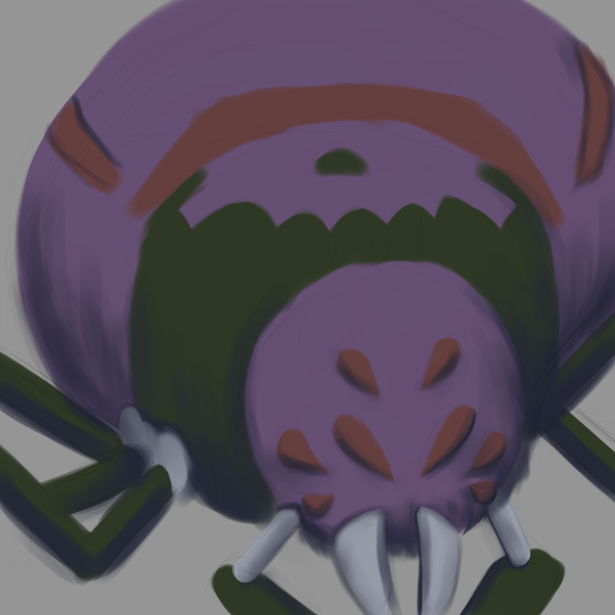 5.png