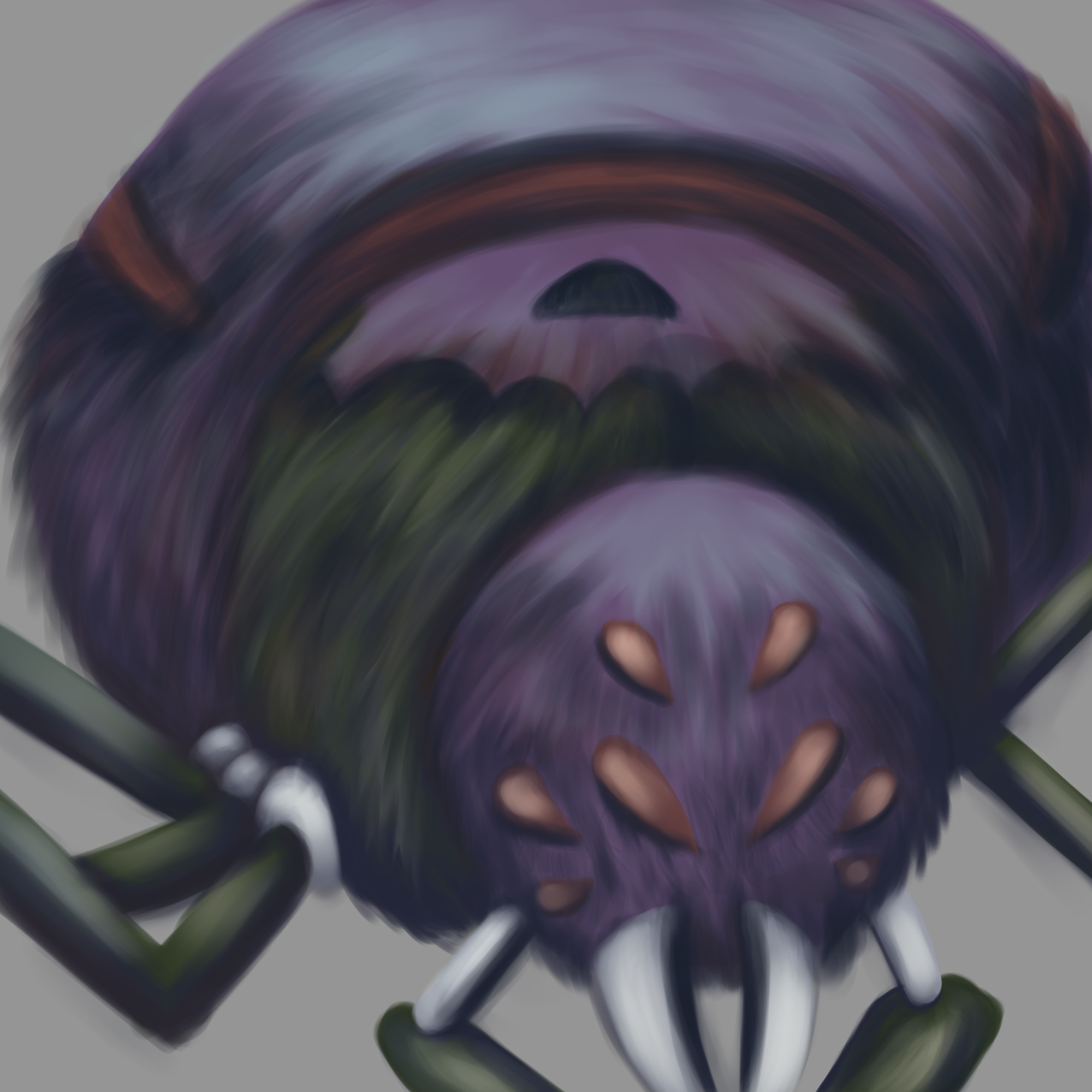 11.png