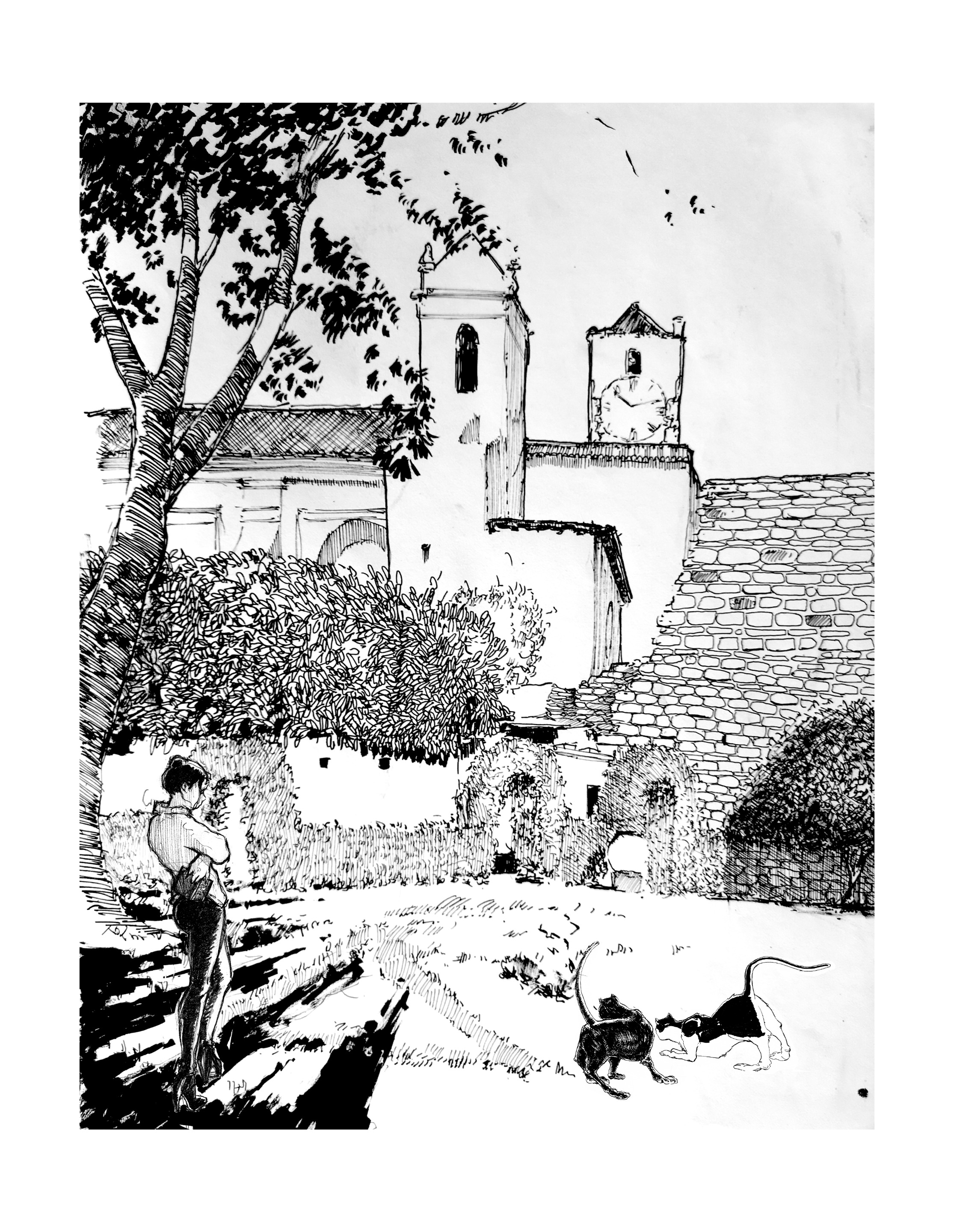 tavira con gatos.jpg