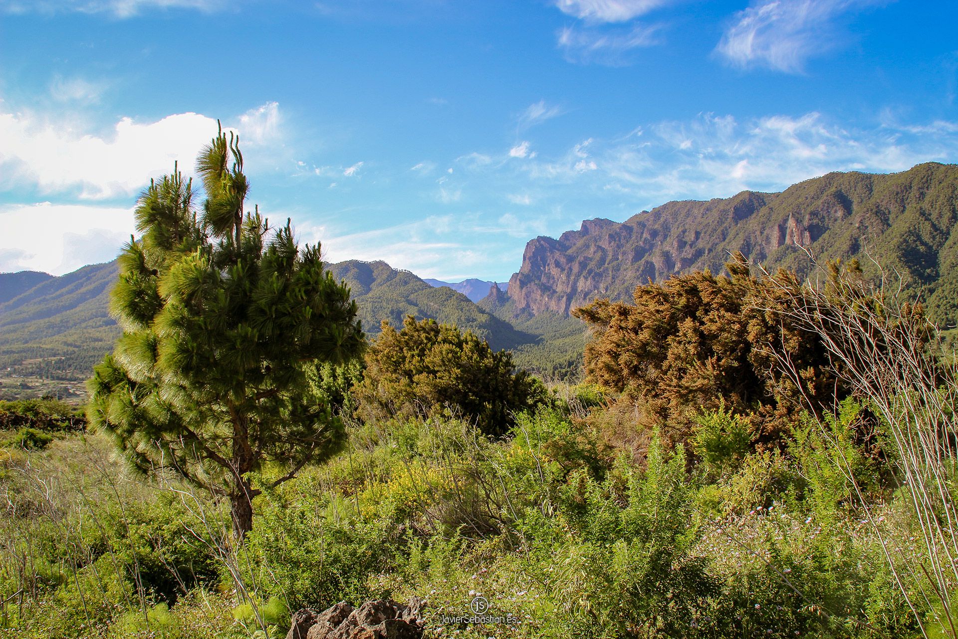 municipio_elpaso_lapalma_islascanarias_javiersebastian_2014_2567.jpg