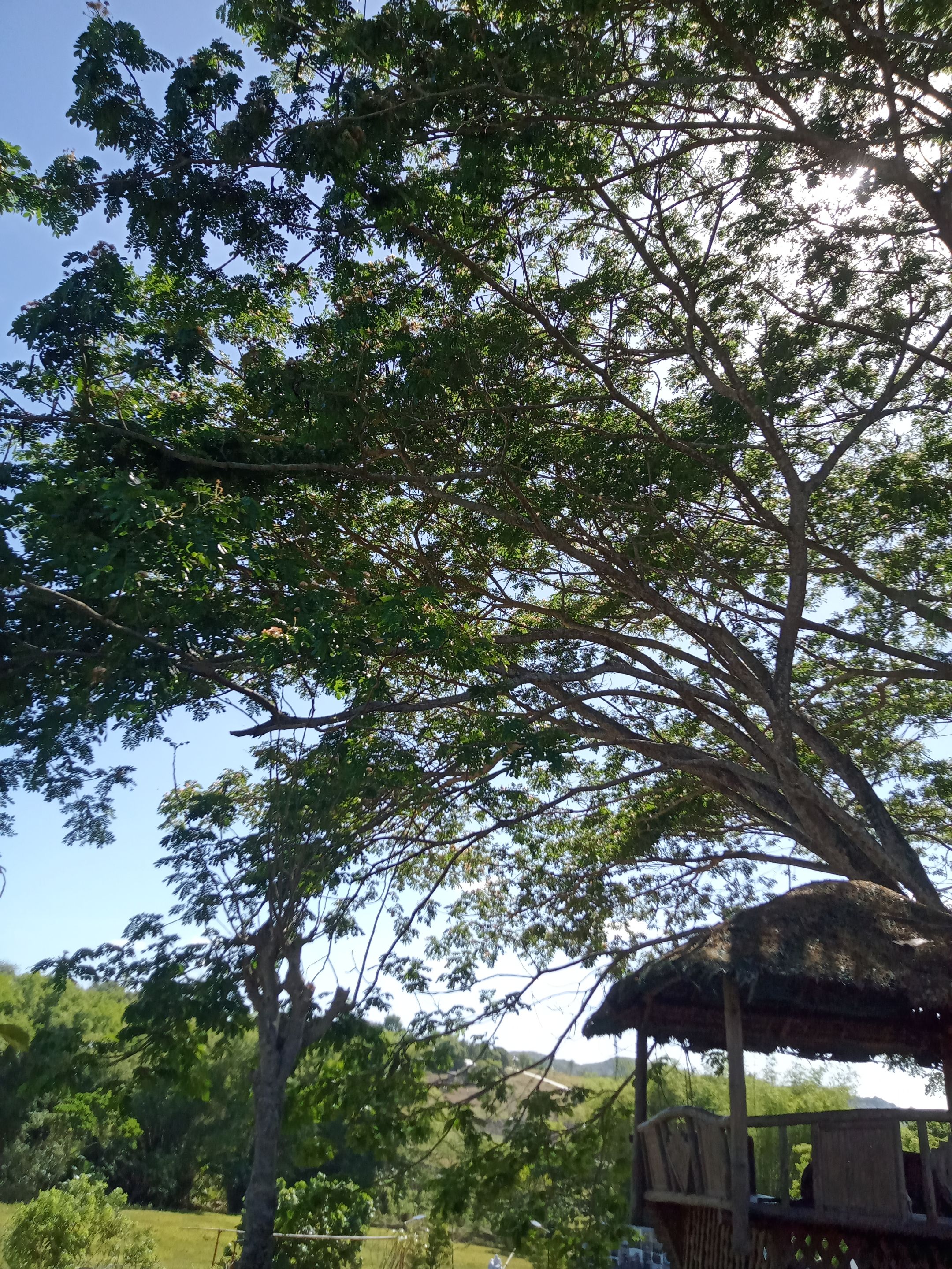 IMG20240404142656.jpg