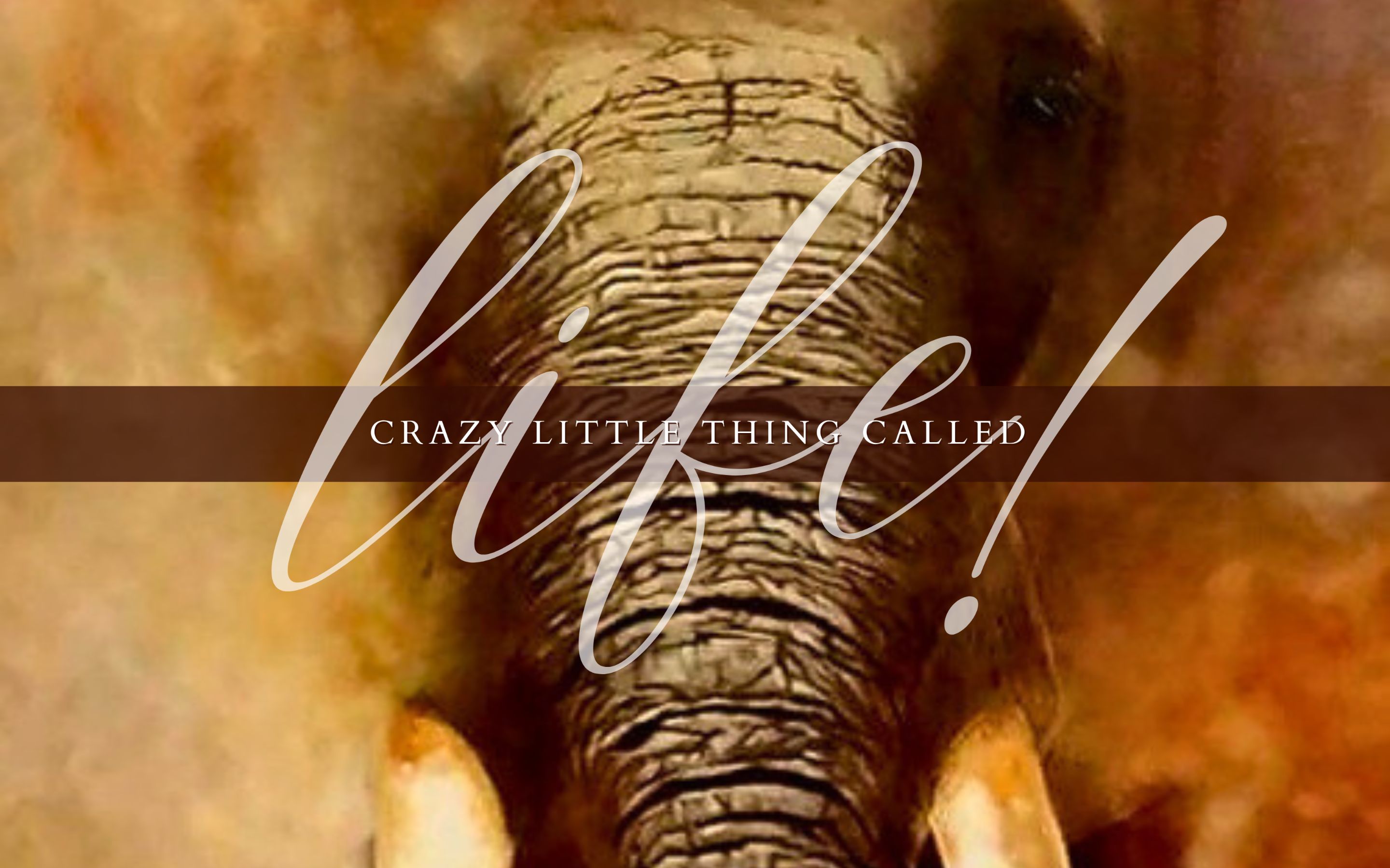 Untitled (2240 x 1400 px) (1).png