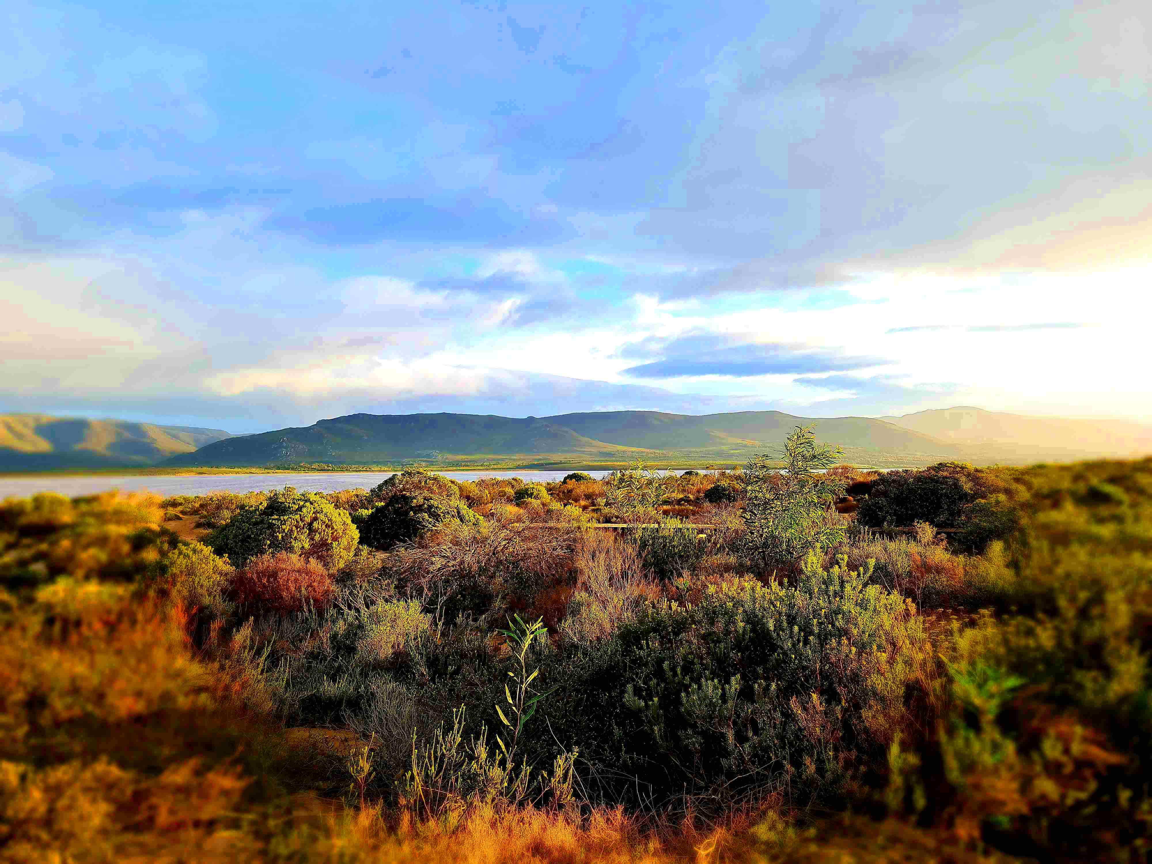 20210704_083547.jpg