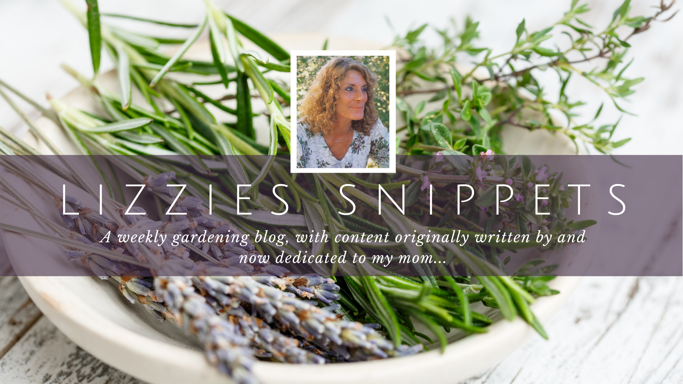 Nature Improve Yourself Blog Banner.png