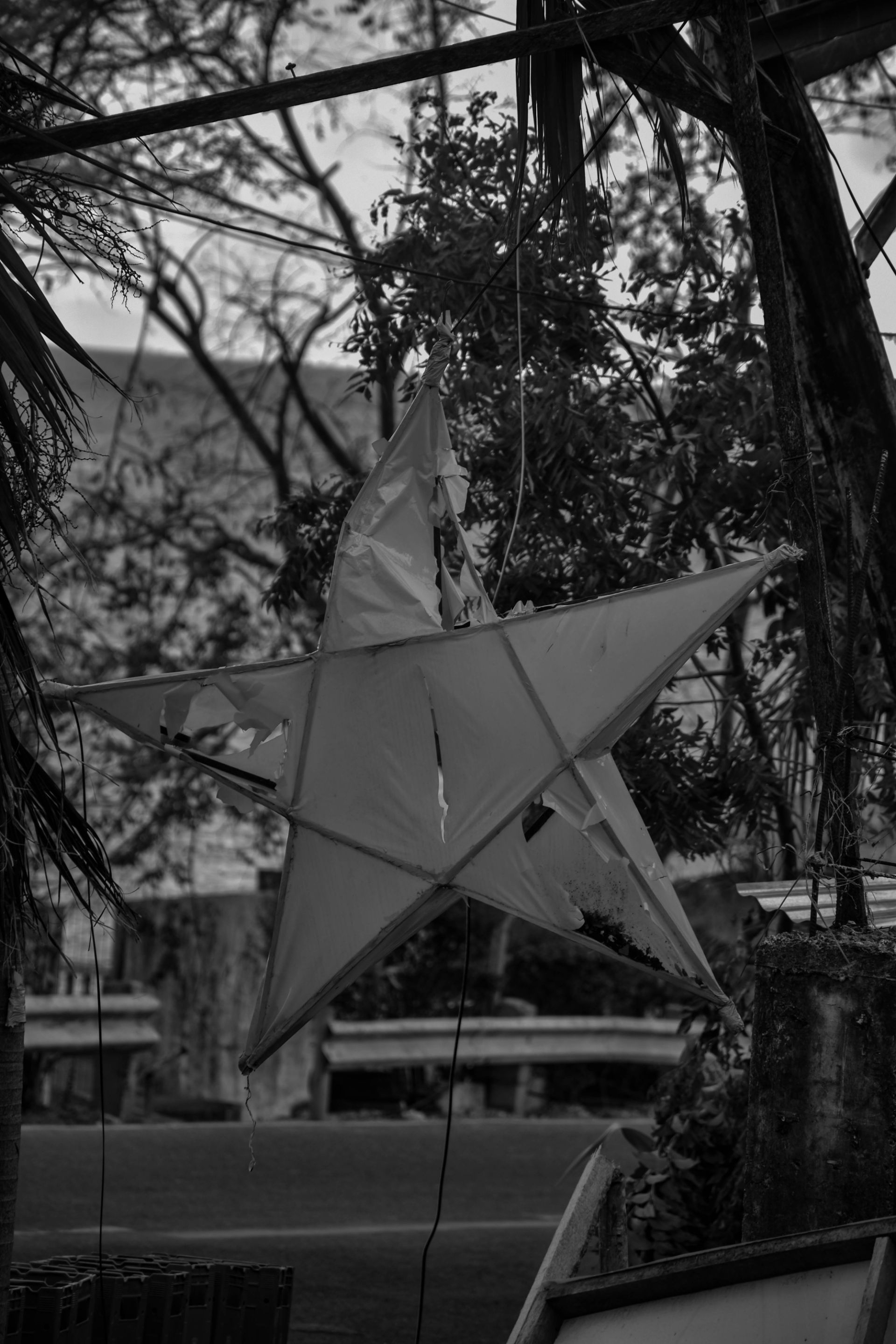 DSC_0026.jpg