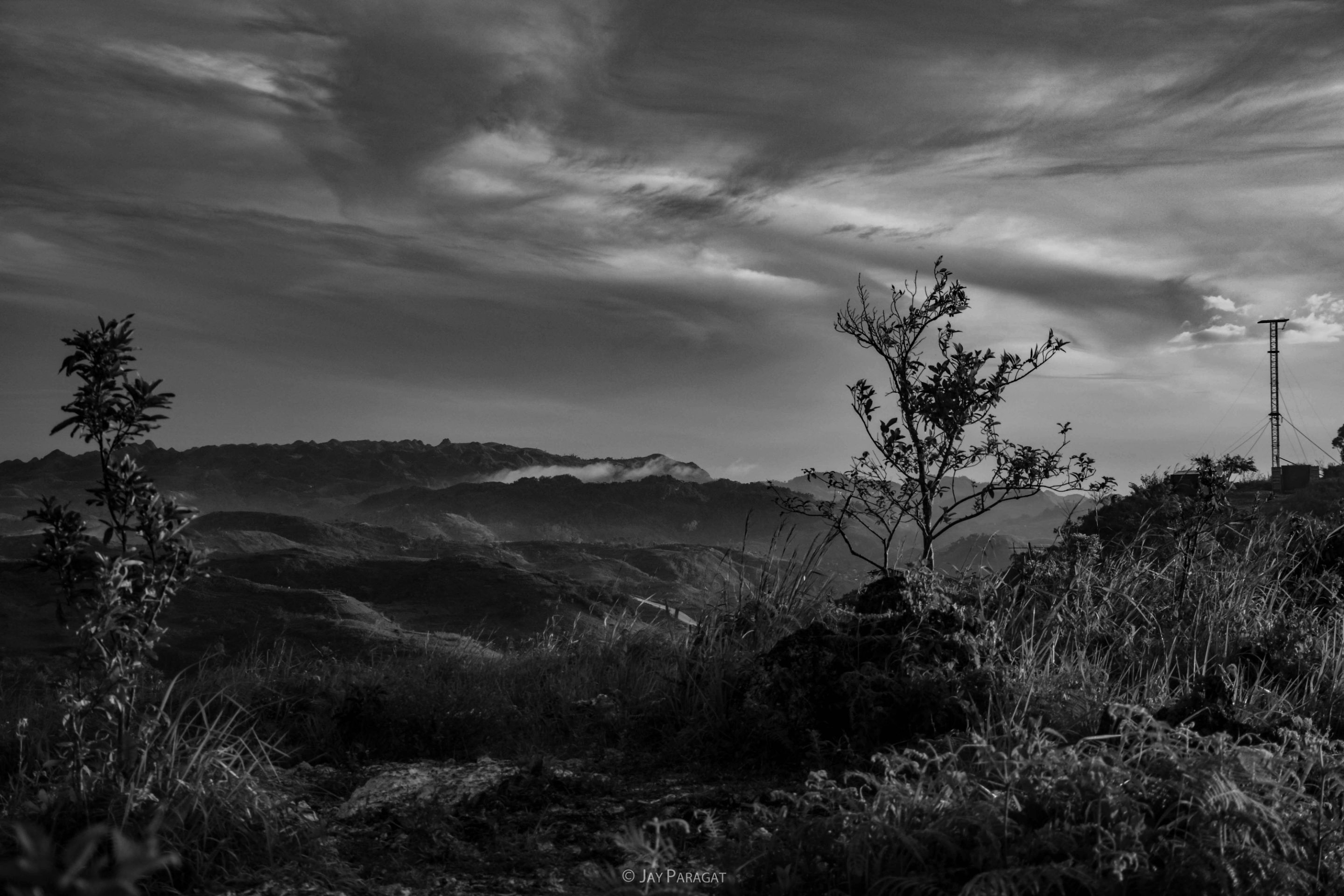 DSC_0194.jpg