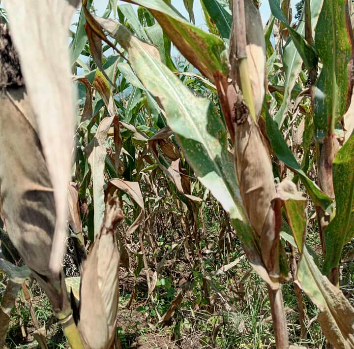 566393811_817940510788427_8257806339767833655_n (1).jpg