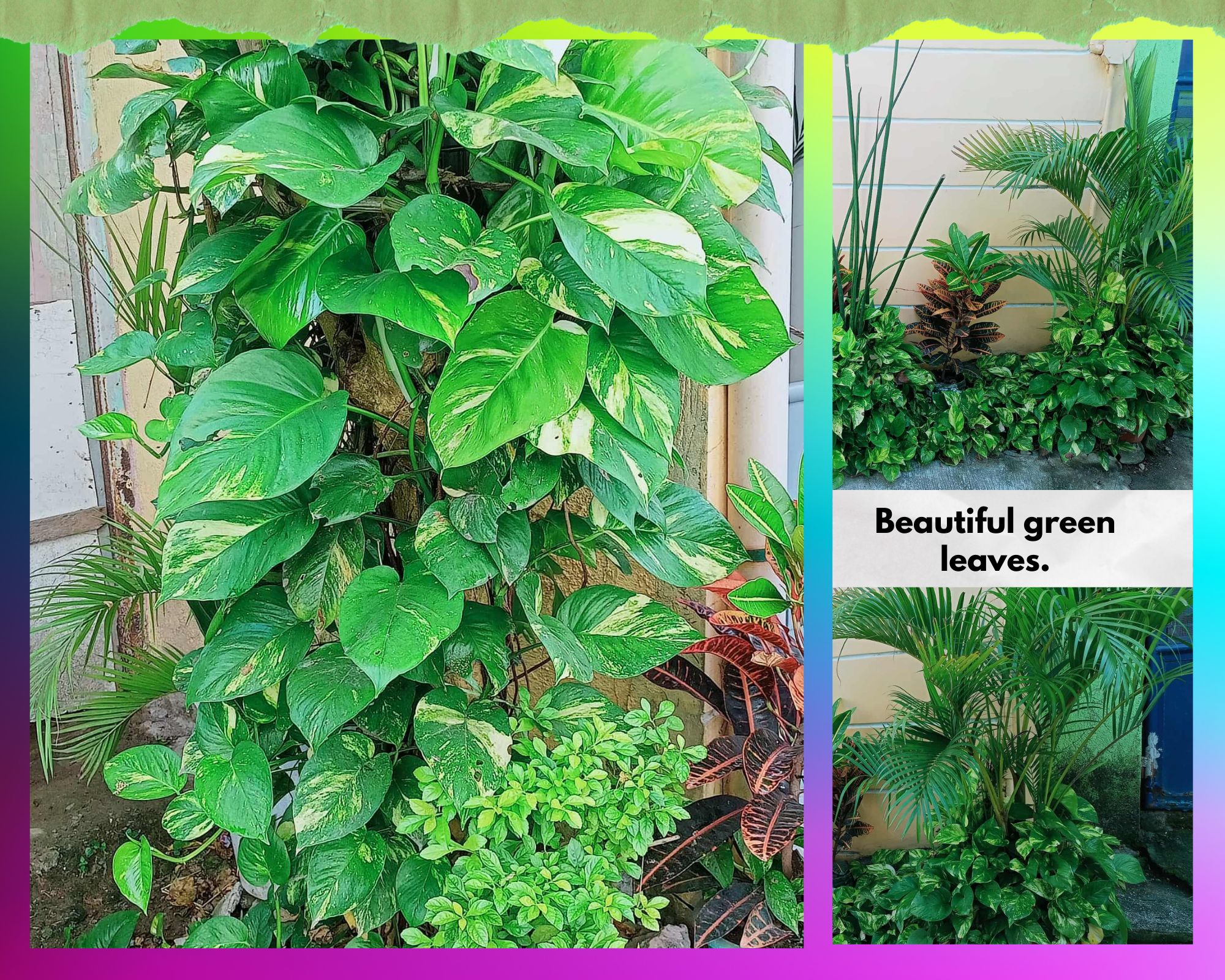 Colorful Minimalist Photo Grid Photo Collage (1).png