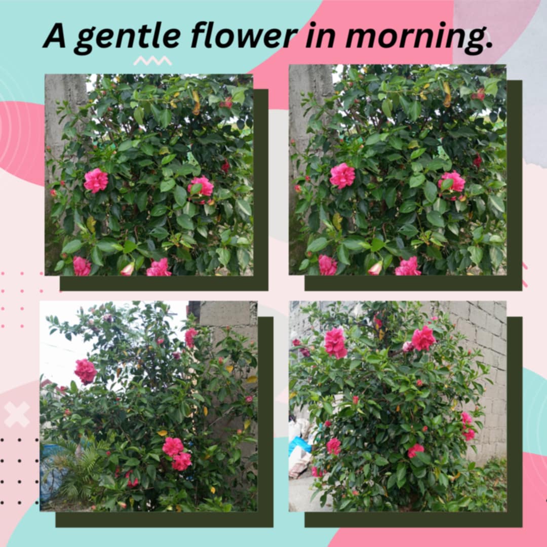 35ee066a-5efc-4711-a3d4-5f0d103a9ebb.jpg