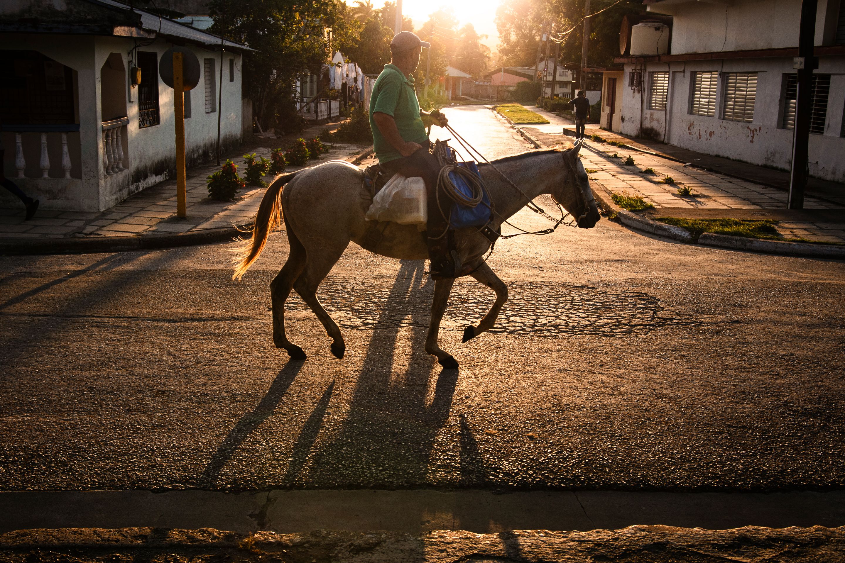_MG_8018 copia.jpg