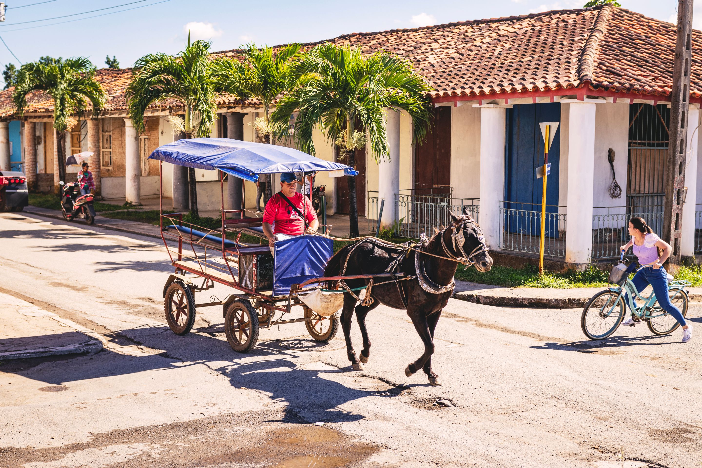 _MG_4771 copia.jpg