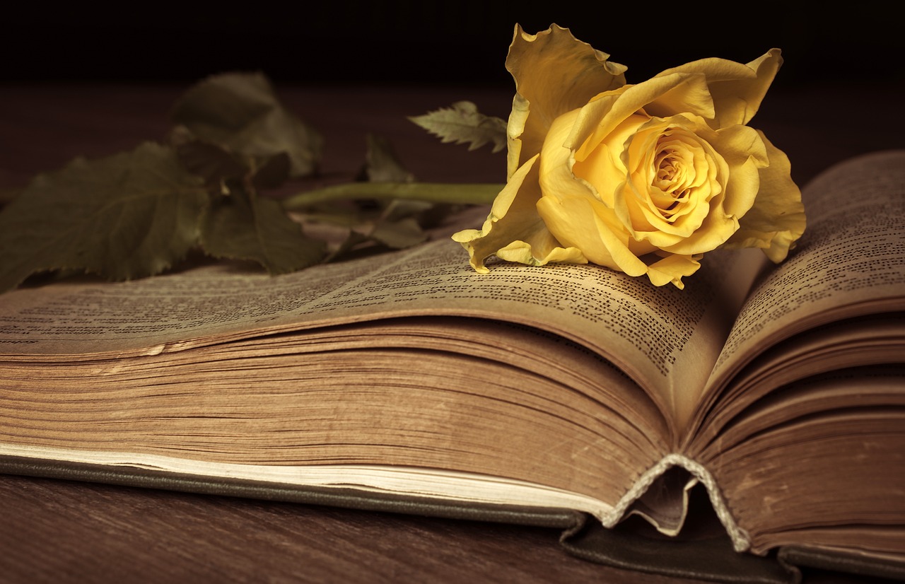 rose-4925102_1280.jpg