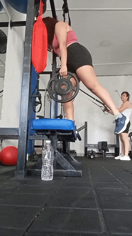 1001486278.gif