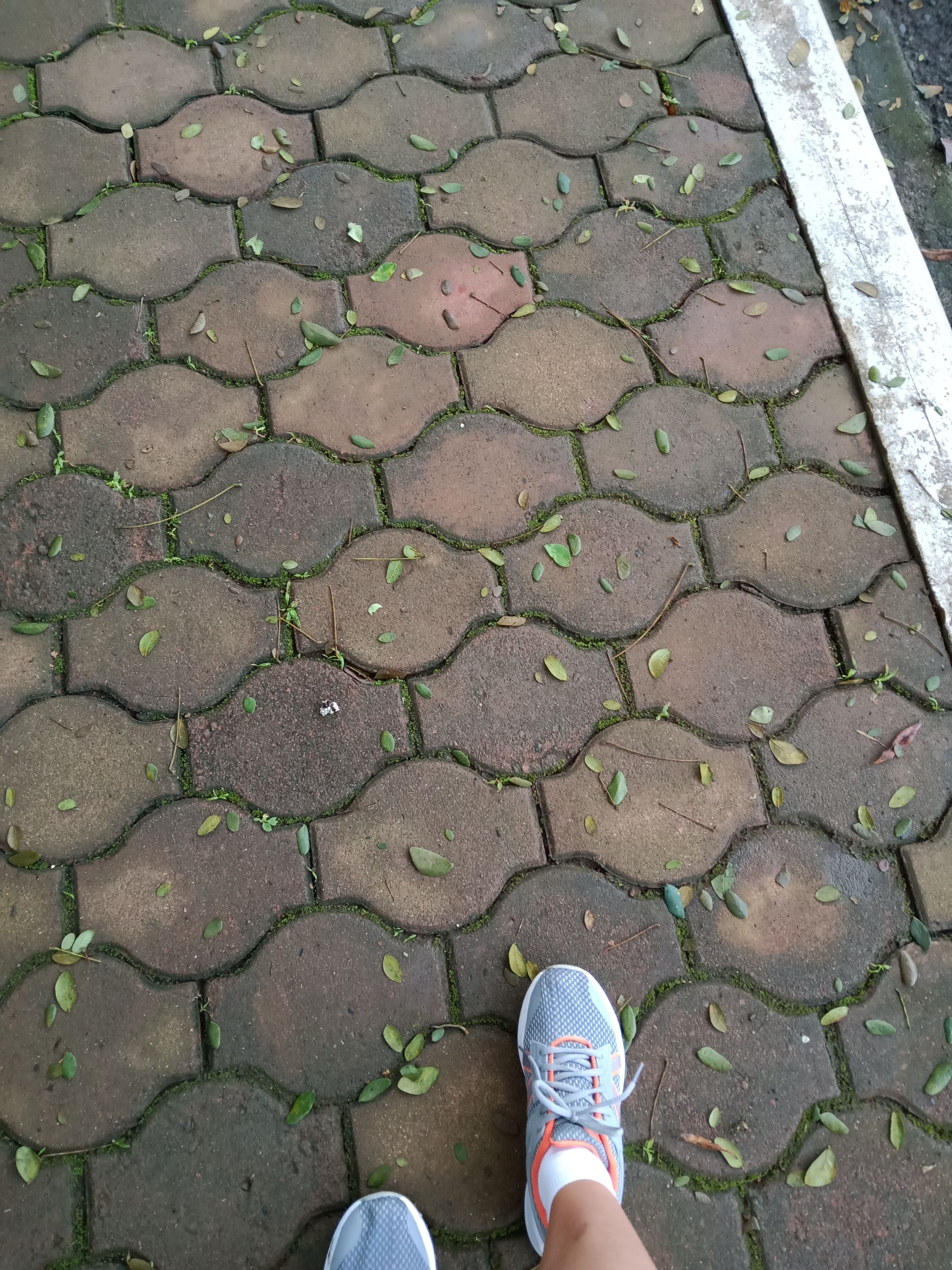 IMG20191118055150.jpg