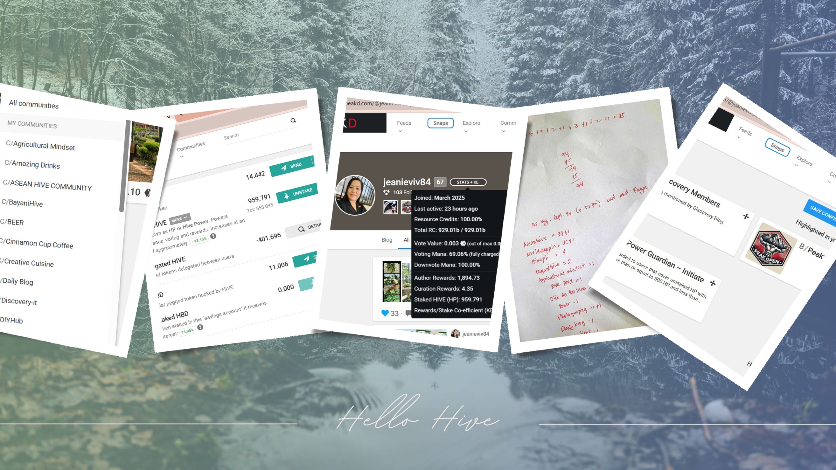 Grey Aesthetic Winter Photo Collage Desktop Wallpaper (1).jpg