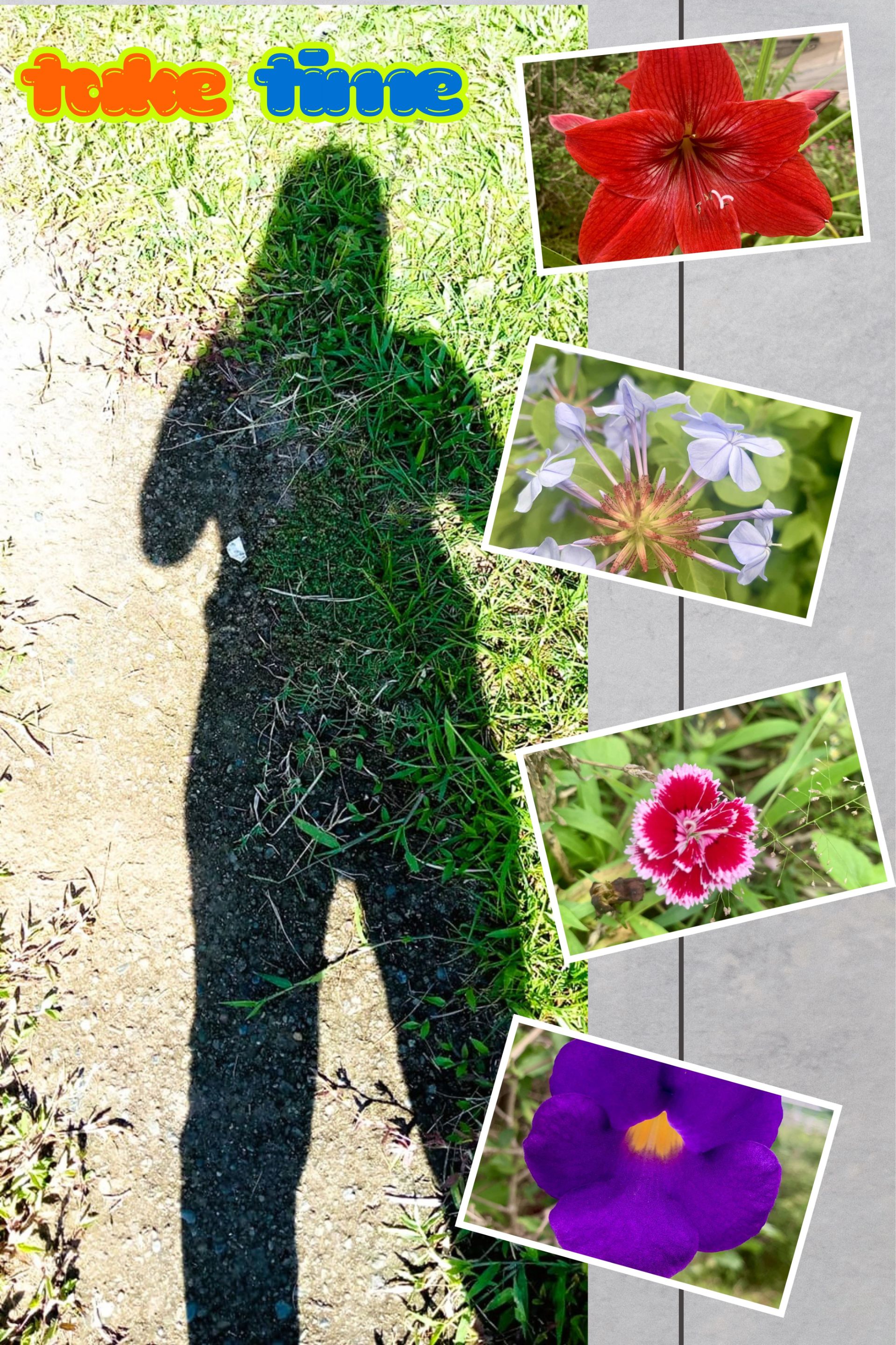 Gray Modern Polaroid Photo Collage.jpg