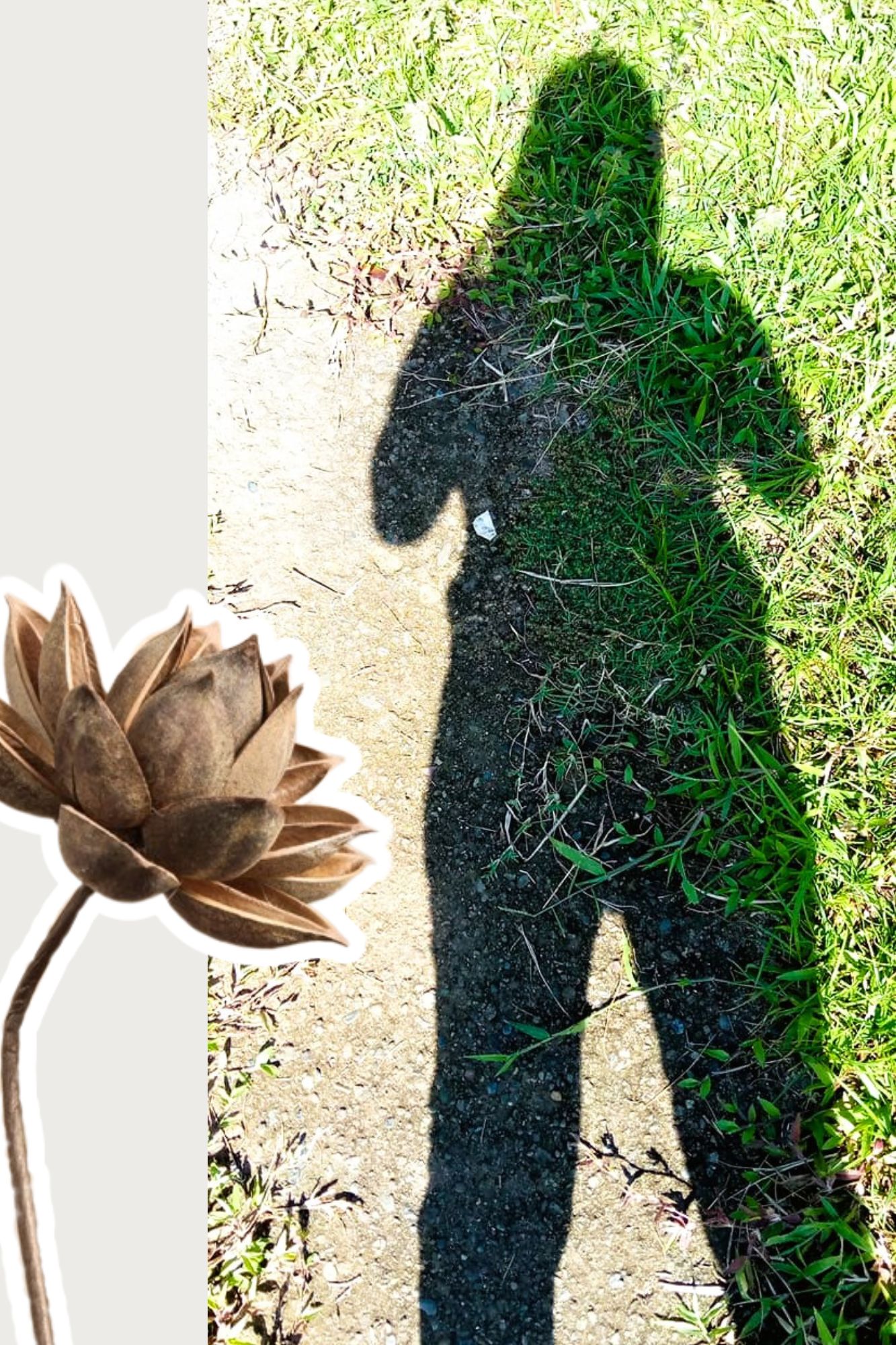 Beige and Brown Aesthetic Photography Frame Photo Collage.jpg