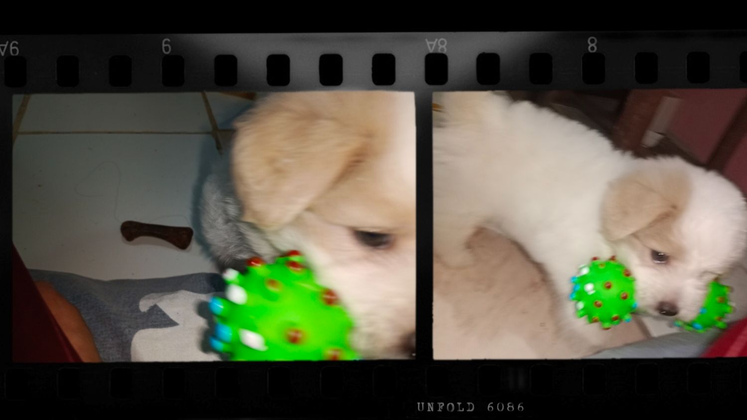 23uQnVqXVLDARRDRzqCVZQmRfnVhUbR1GMXKkf2XAJbjKD1YGbDfxWu8capFUPSMSTrDx.jpg