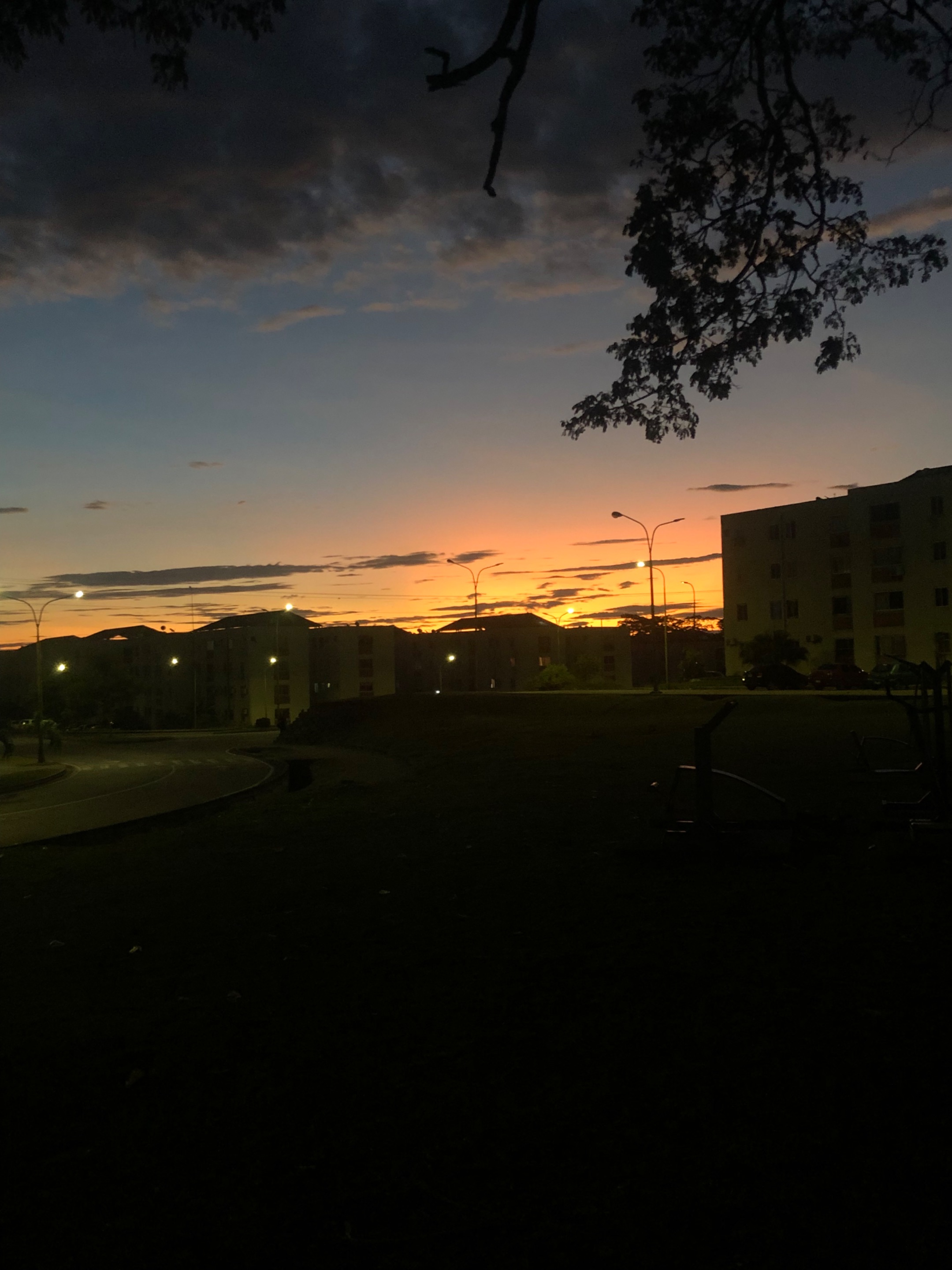 BE1C7176-64EA-4396-86D6-C2312C0D17E4.jpeg