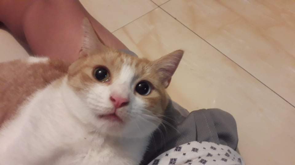 received_1921875984651411.jpeg