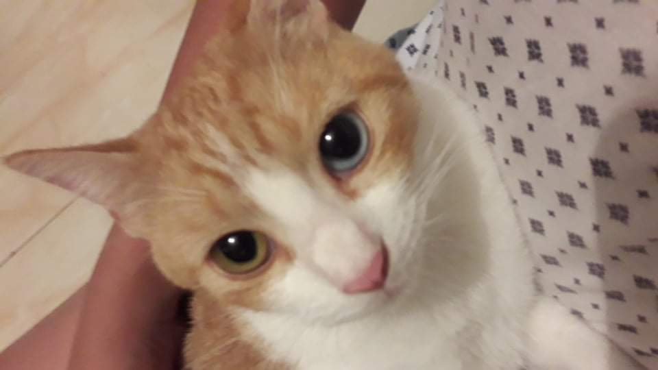 received_602193151011840.jpeg