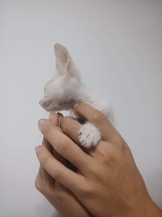 32F0D507-8A46-46C0-A14D-8EE42D6BBBE4.jpeg