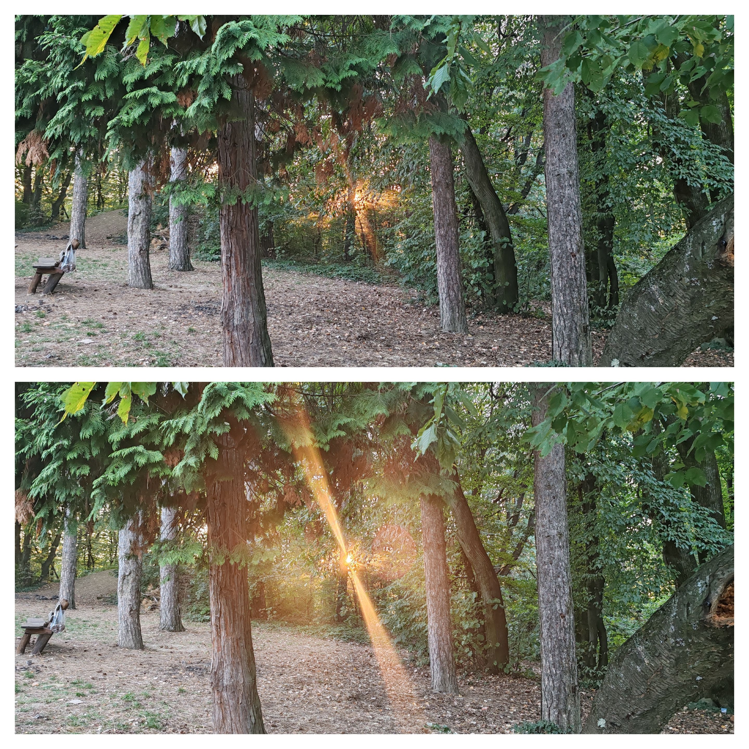 InCollage_20250921_005620001.jpg