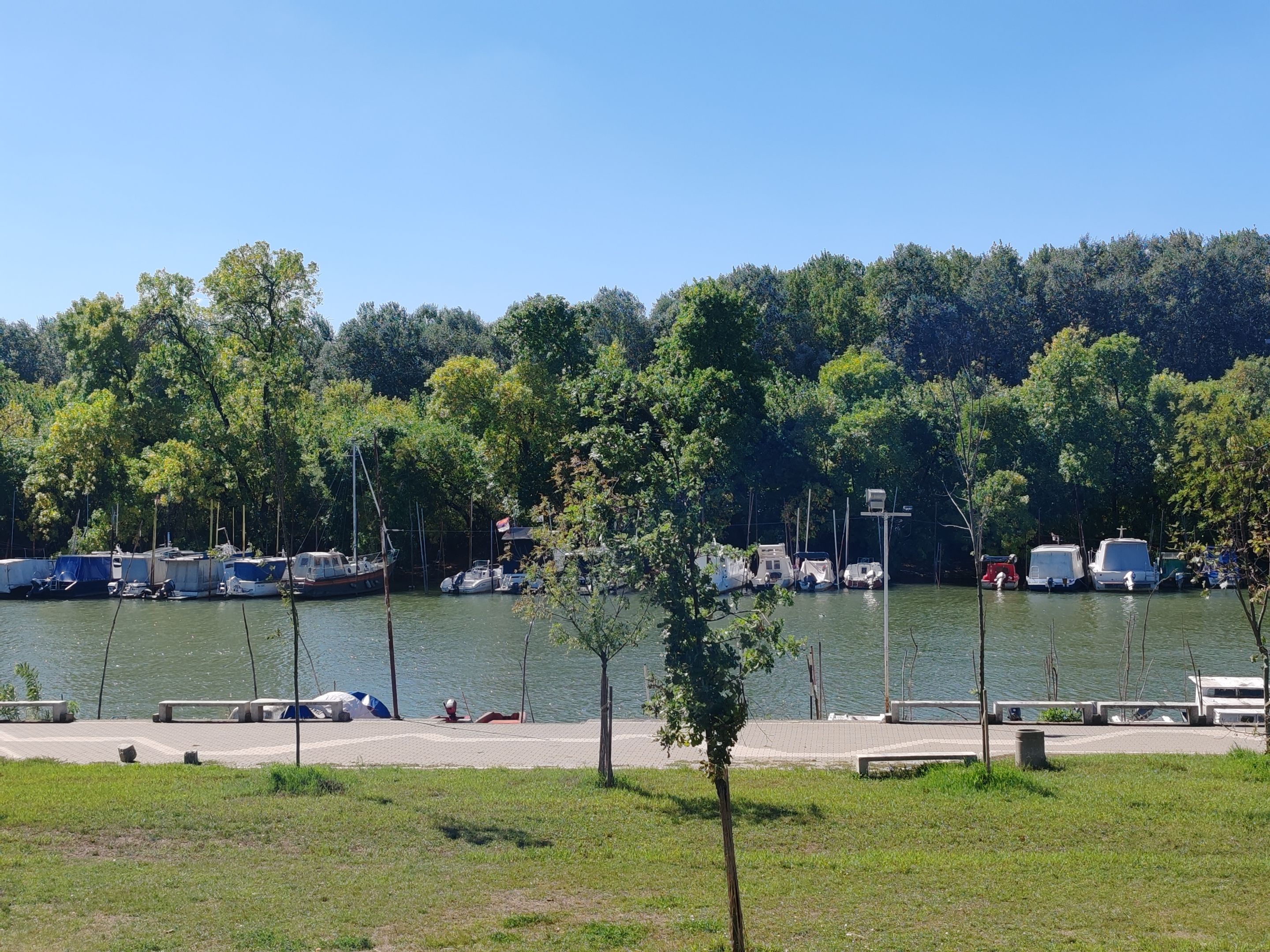 IMG_20250918_120615.jpg