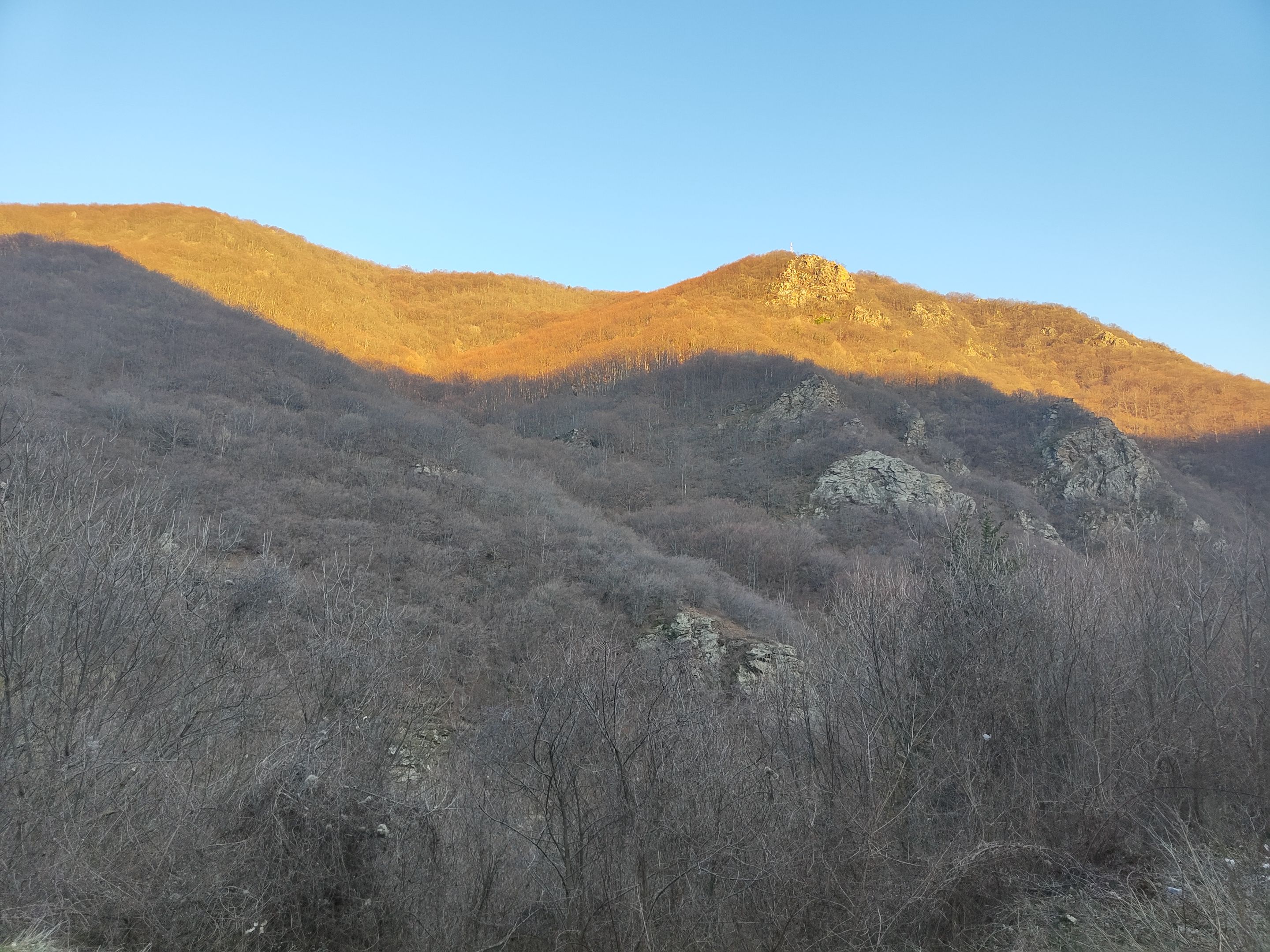 IMG_20240216_162057.jpg