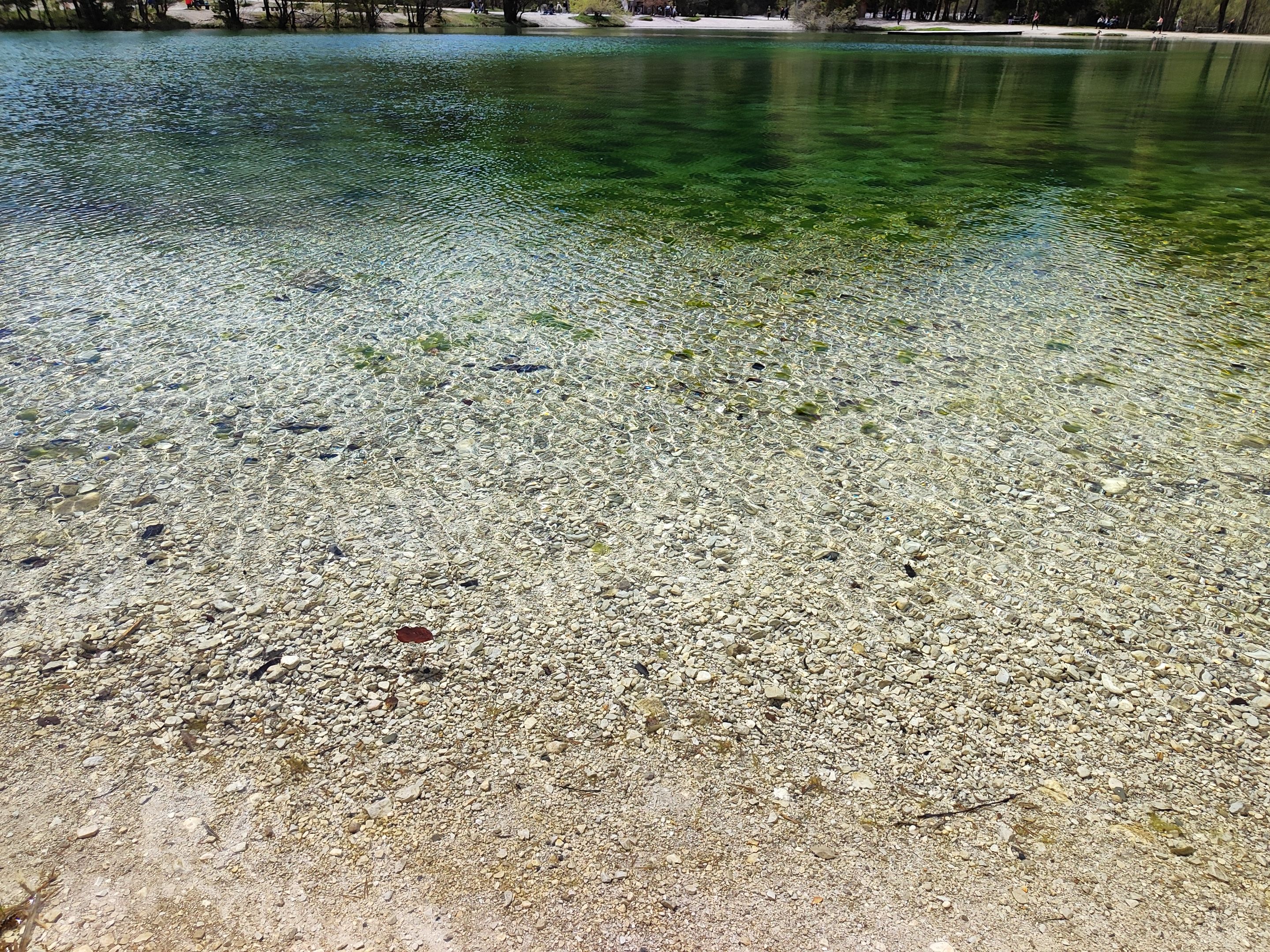 IMG_20230429_124635.jpg