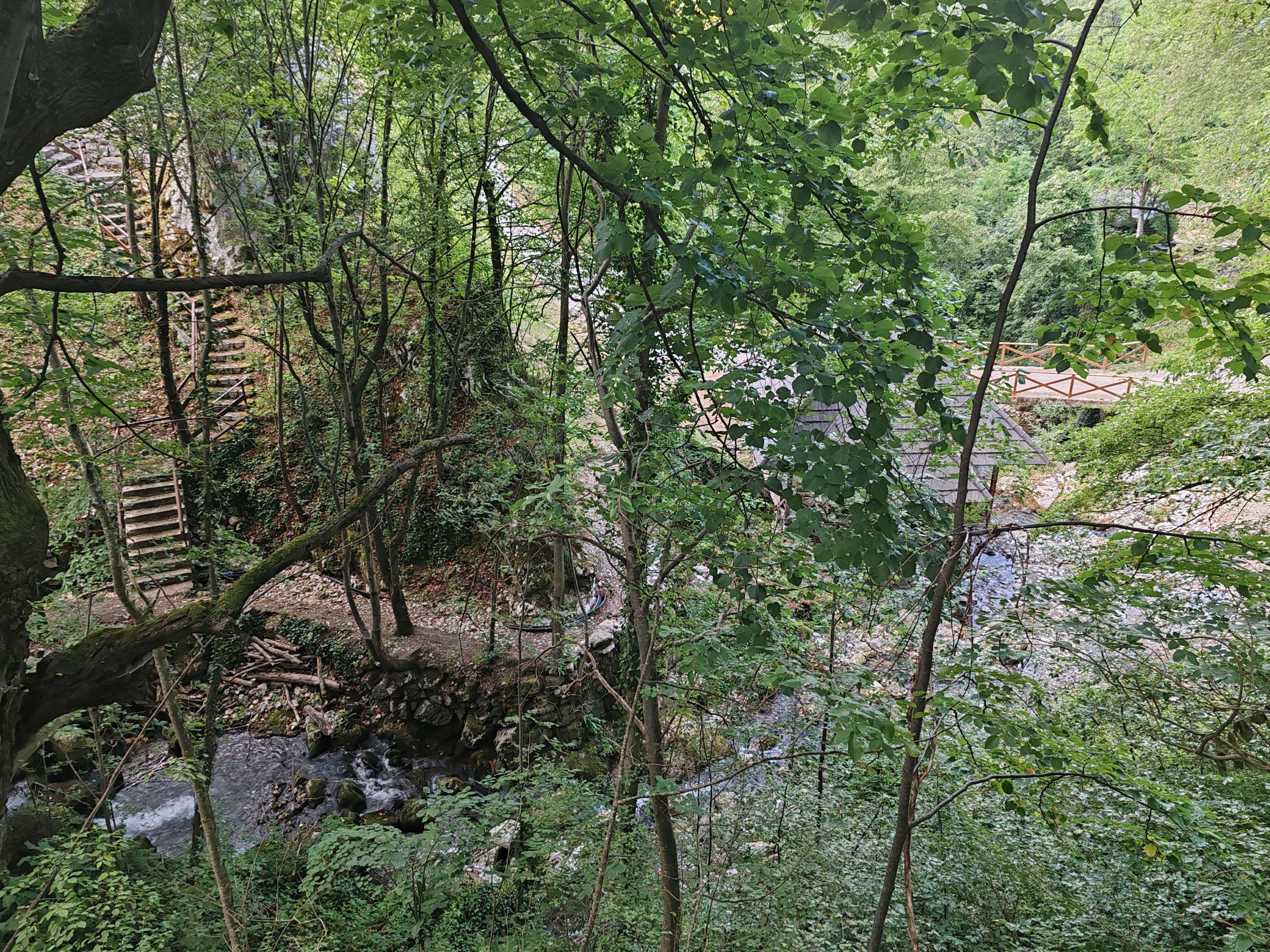 IMG_20250706_184246.jpg