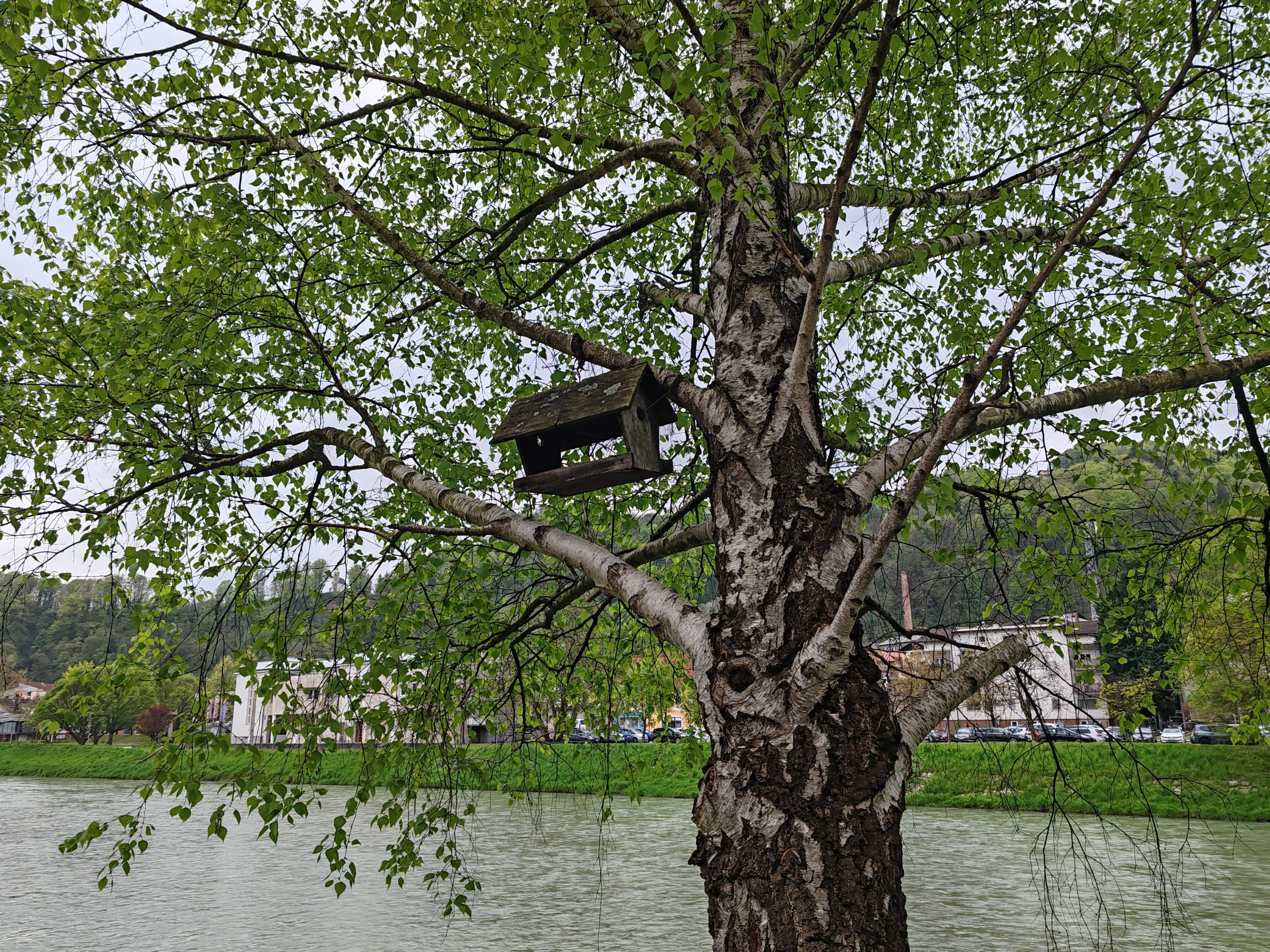 IMG_20250417_105055.jpg