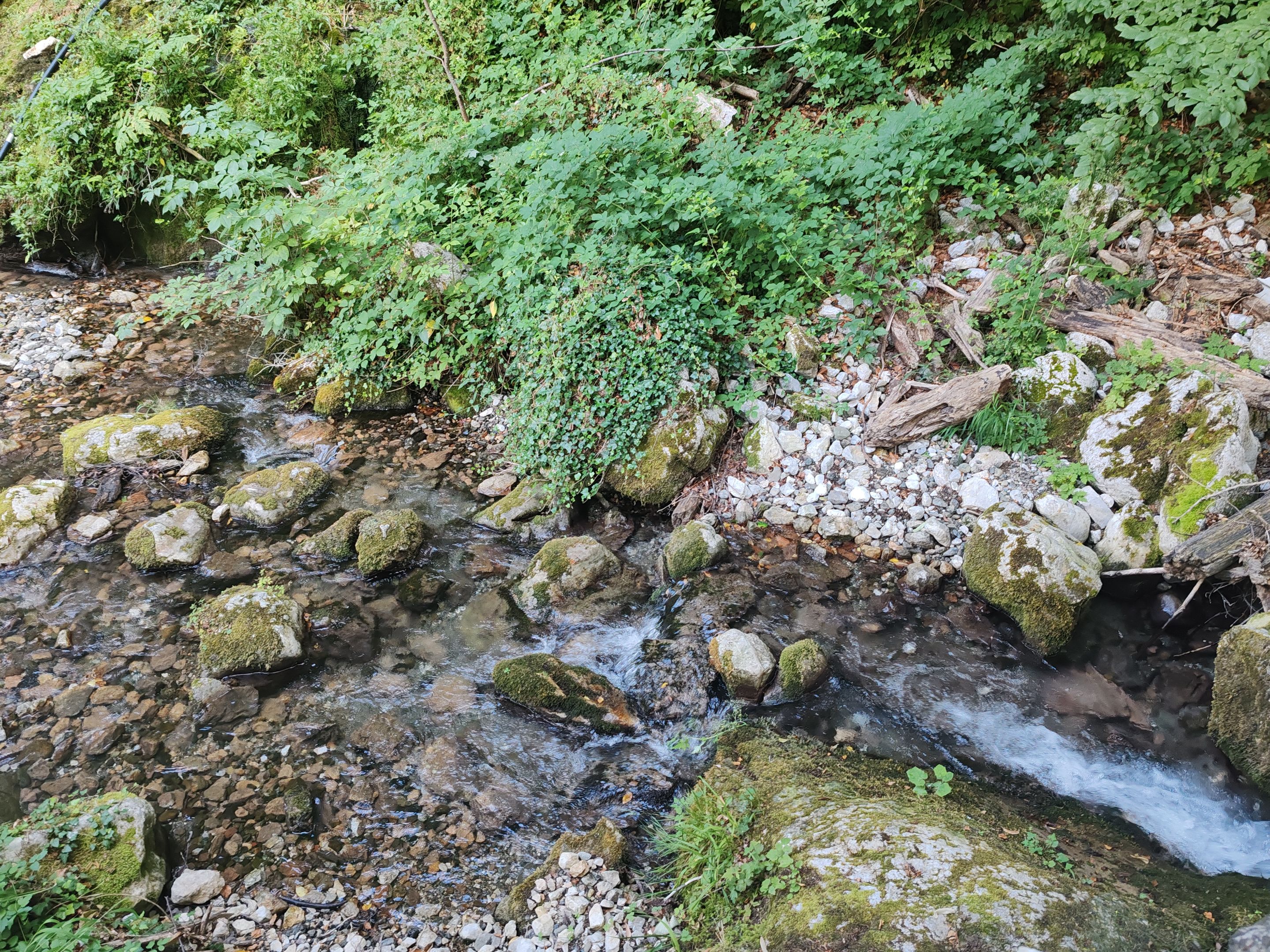 IMG_20250706_183740.jpg