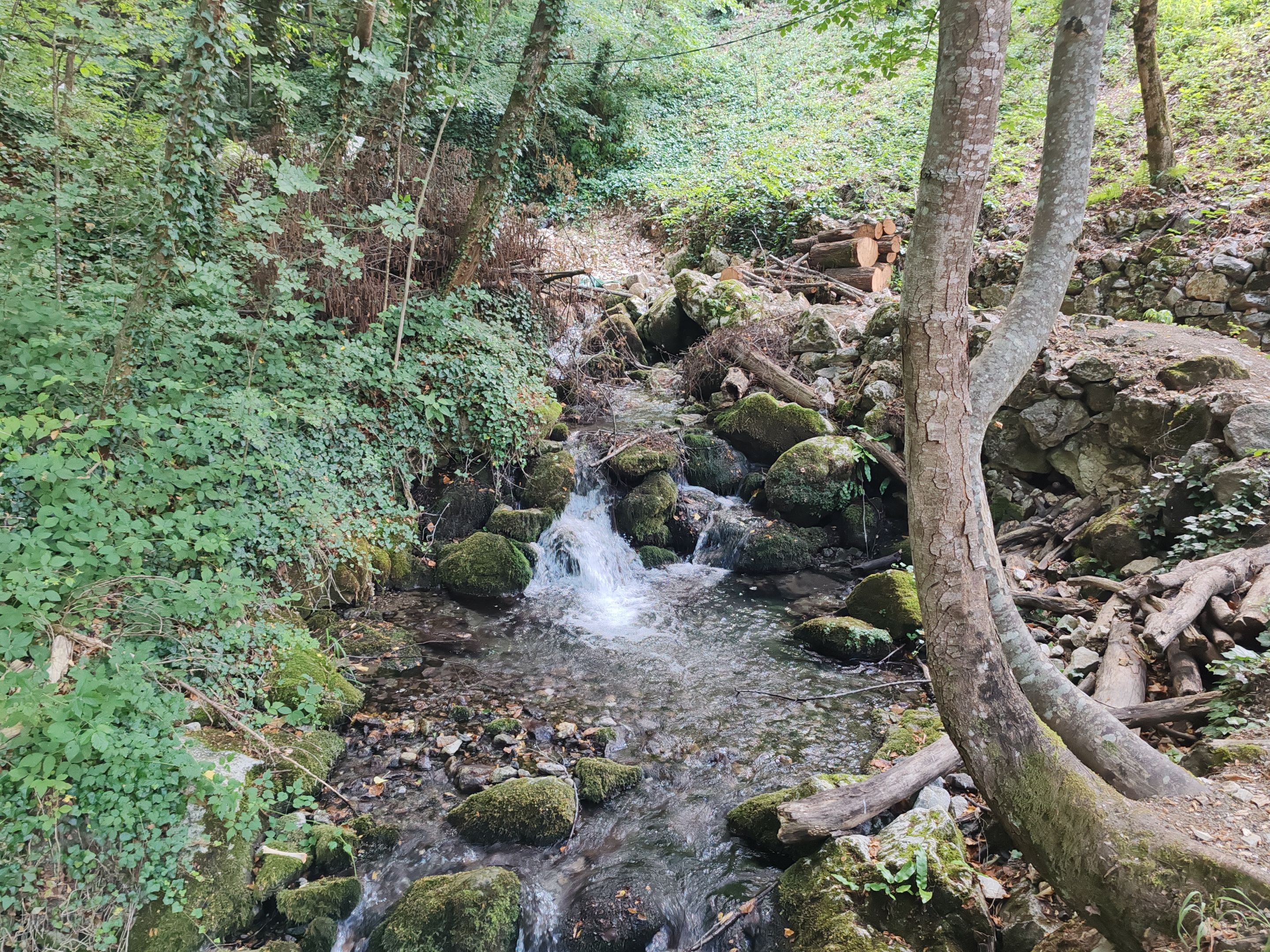 IMG_20250706_183757.jpg