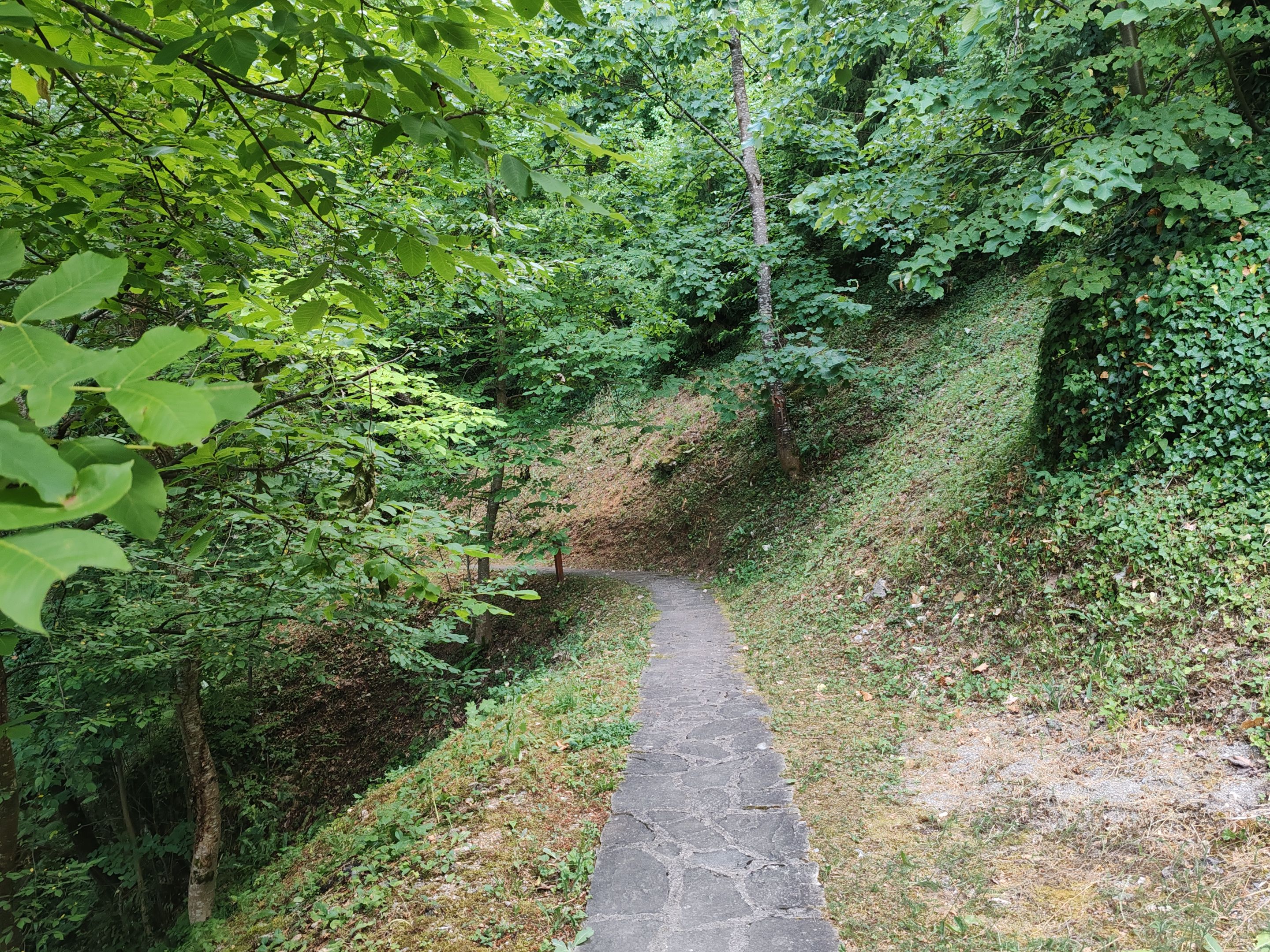 IMG_20250706_184139.jpg