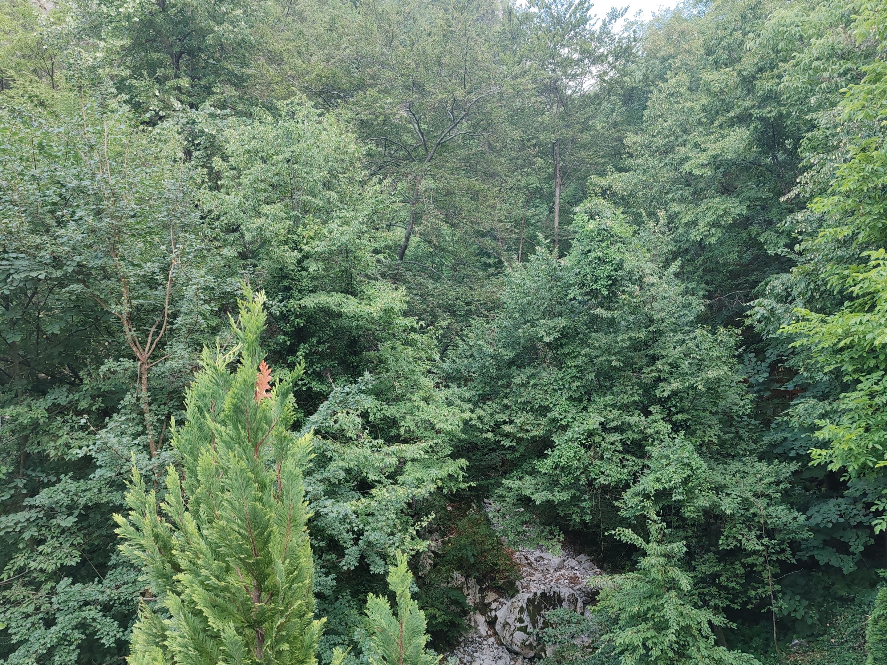 IMG_20250706_183525.jpg
