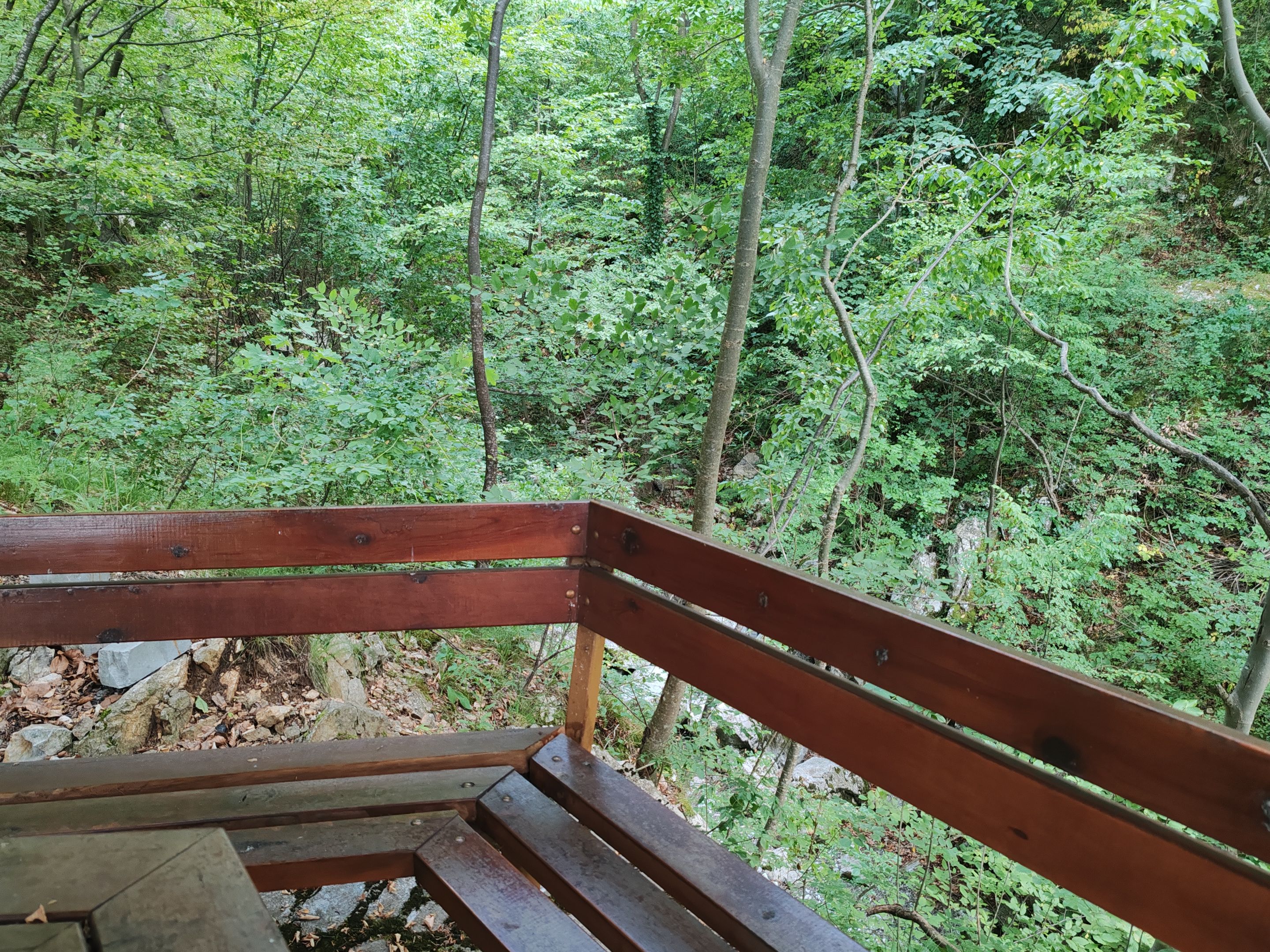 IMG_20250706_184331.jpg