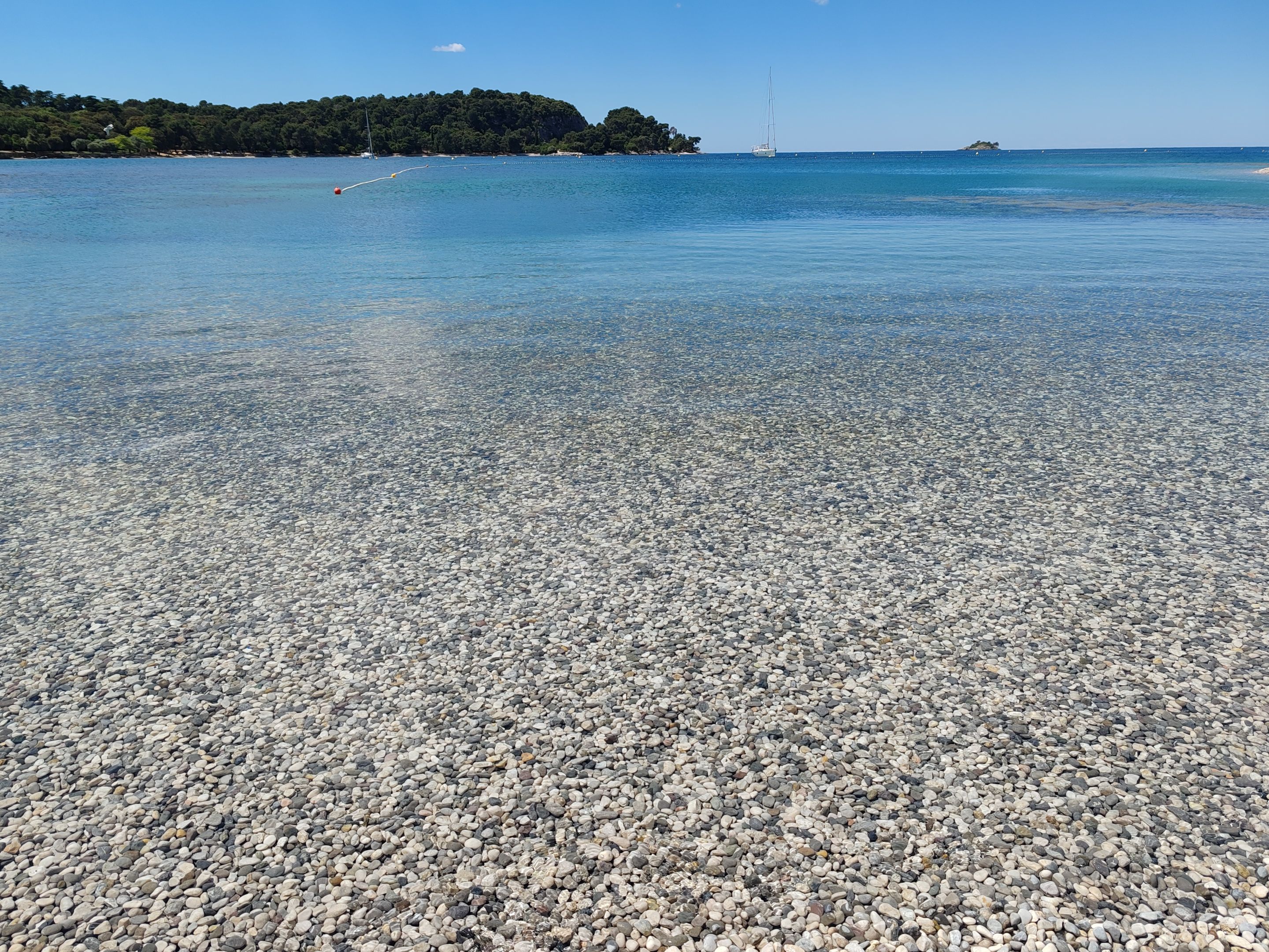 IMG_20250516_125022.jpg