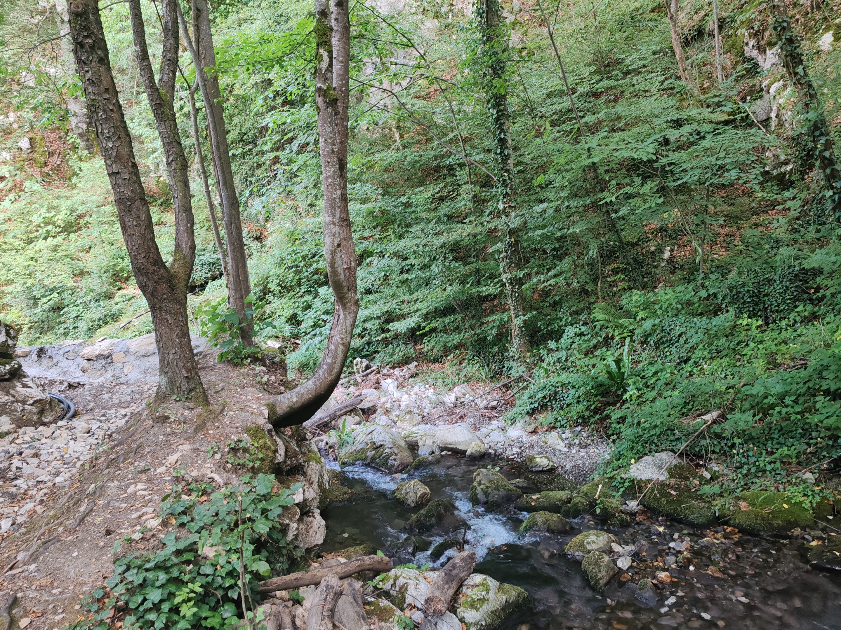 IMG_20250706_183650.jpg