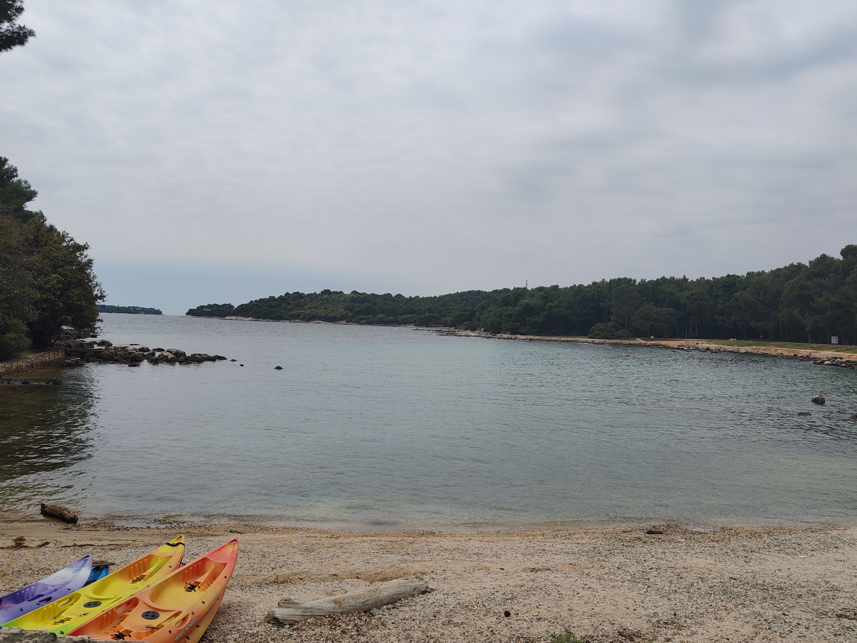 IMG_20250515_133111.jpg