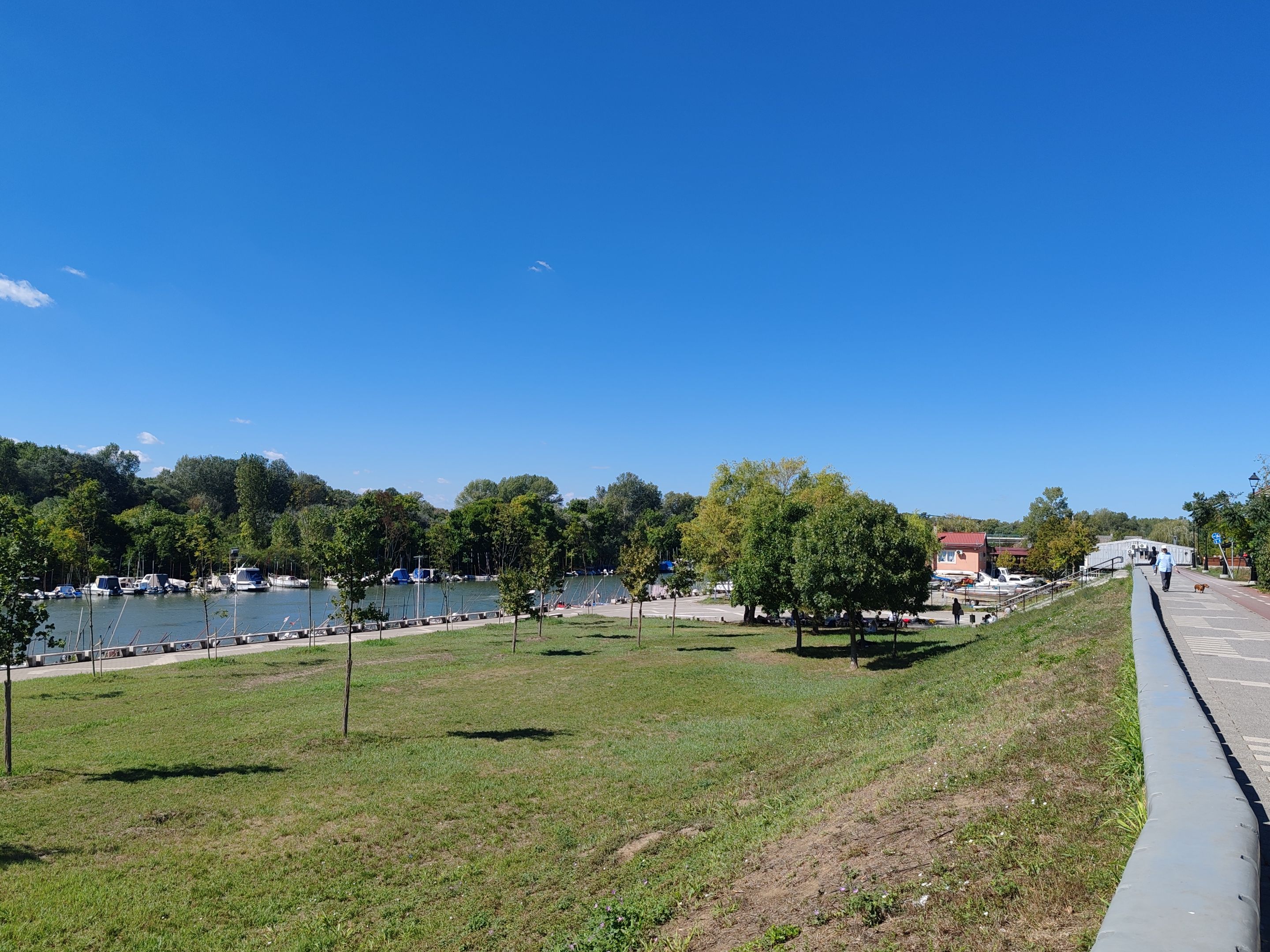 IMG_20250918_120610.jpg