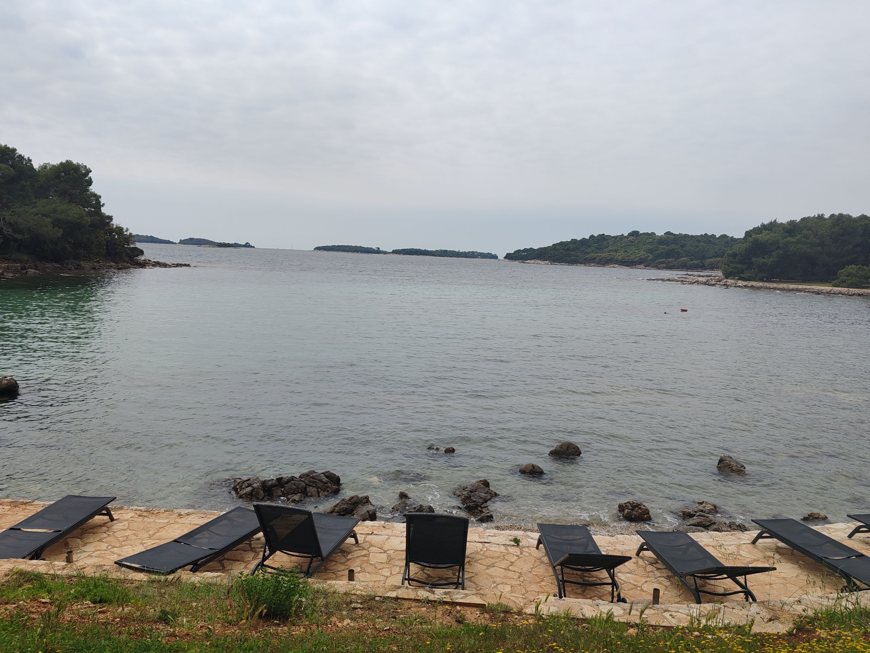 IMG_20250515_133204.jpg
