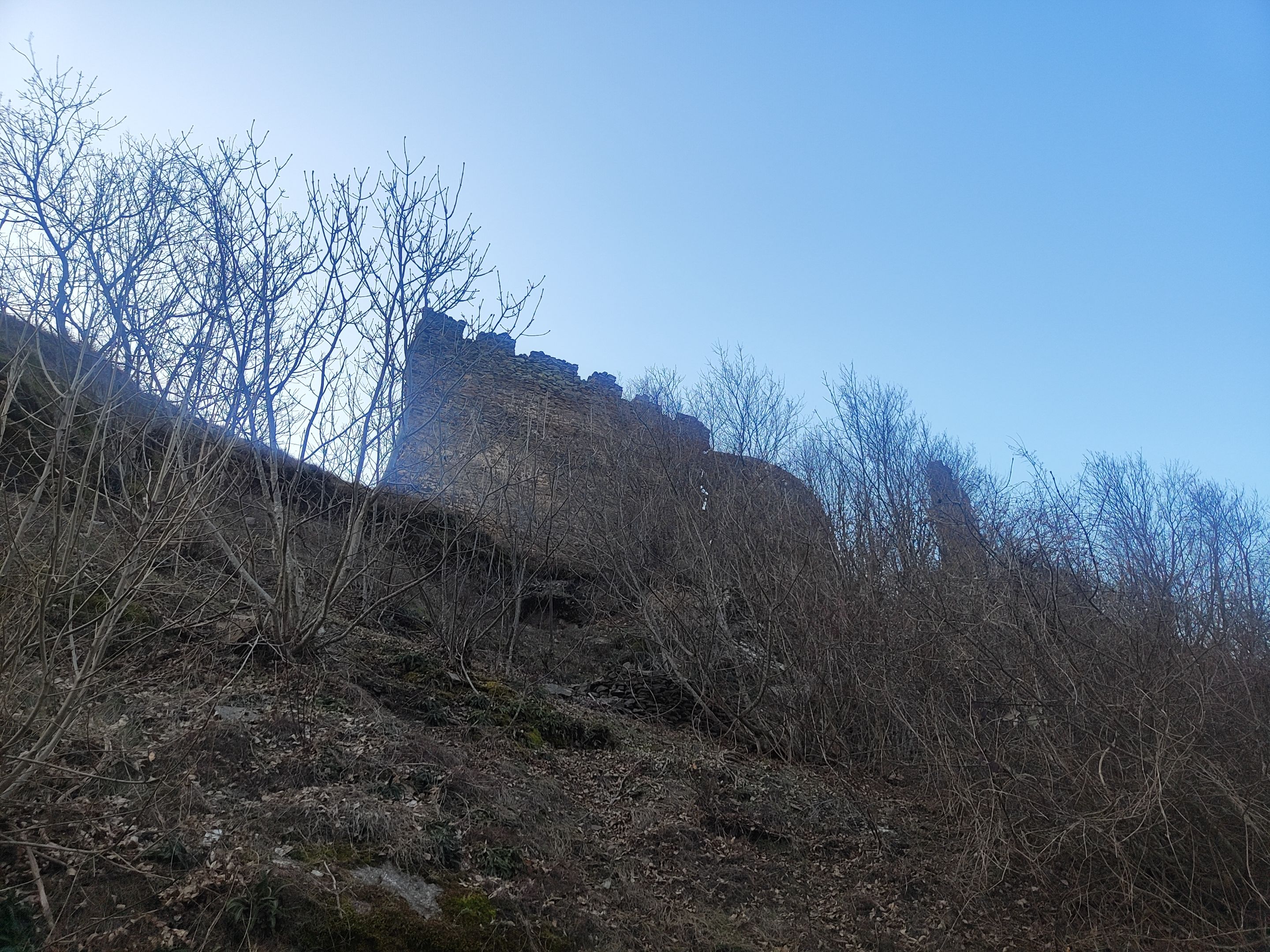 IMG_20240216_162239.jpg