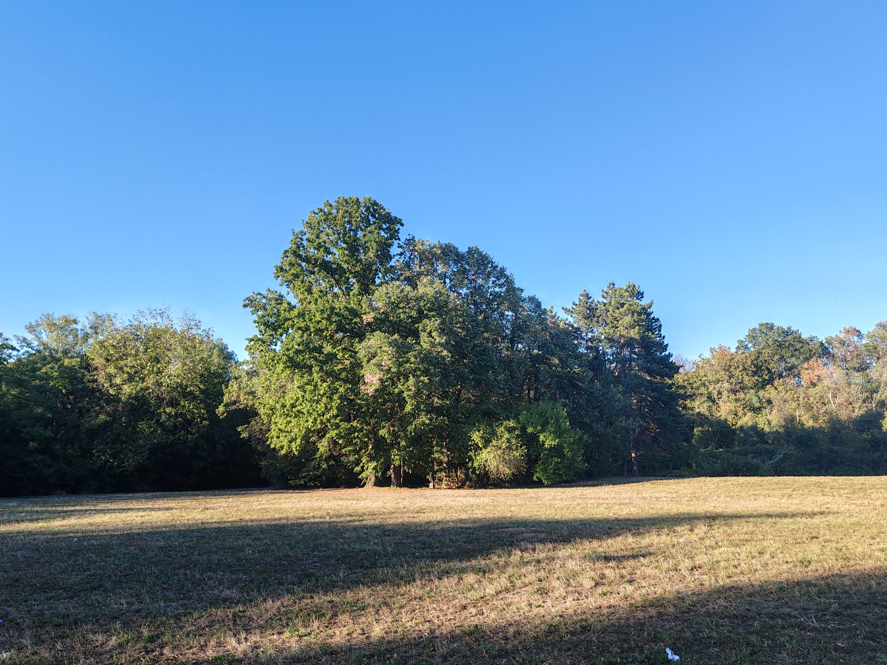 IMG_20250921_173624.jpg