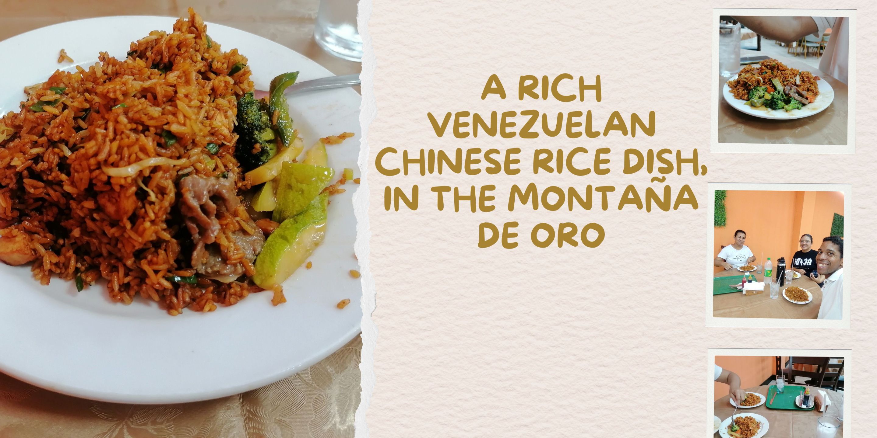 Website Homepage Fashion Collage Banner_20251107_114354_0000.jpg