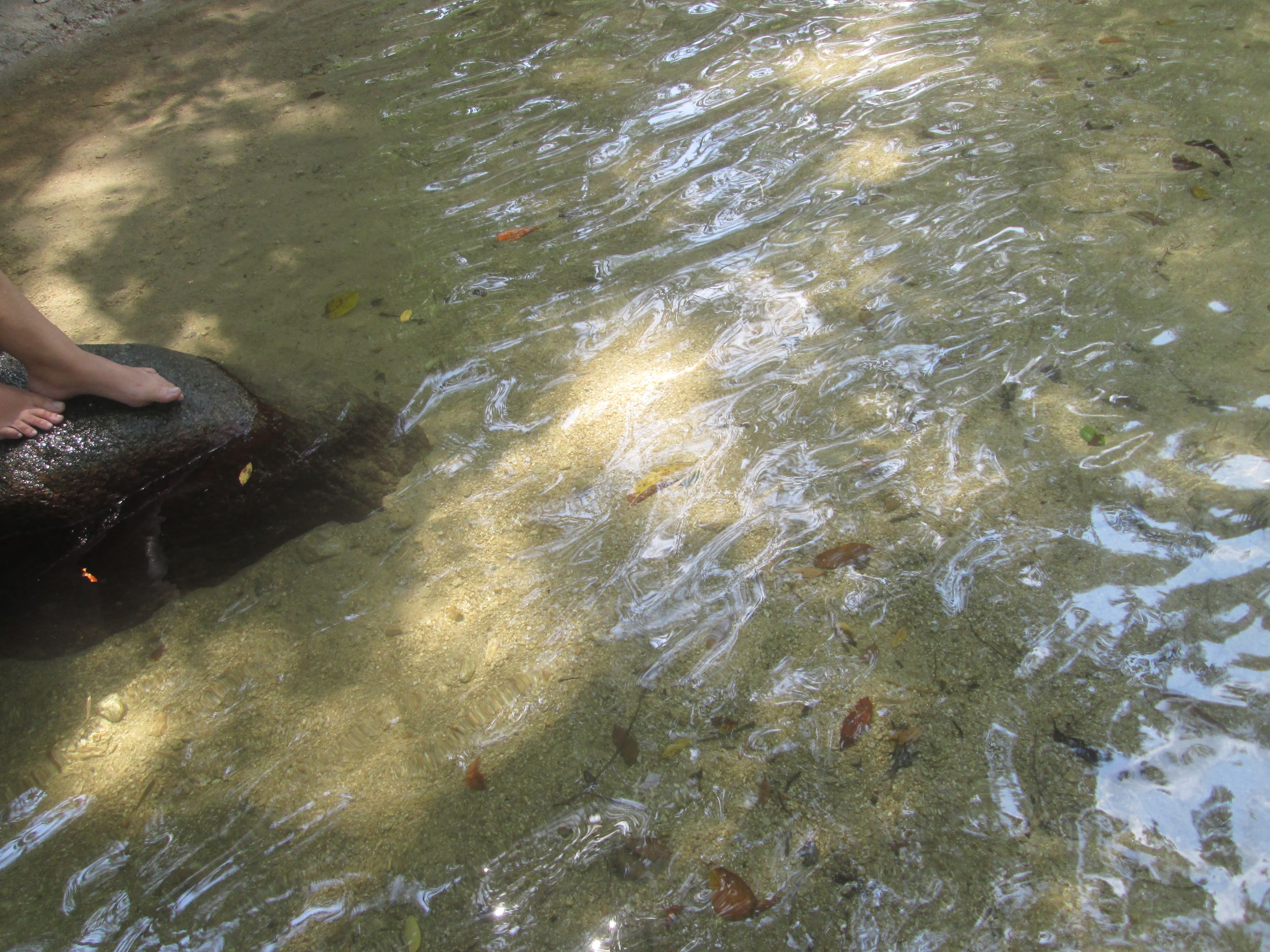 IMG_5643.JPG