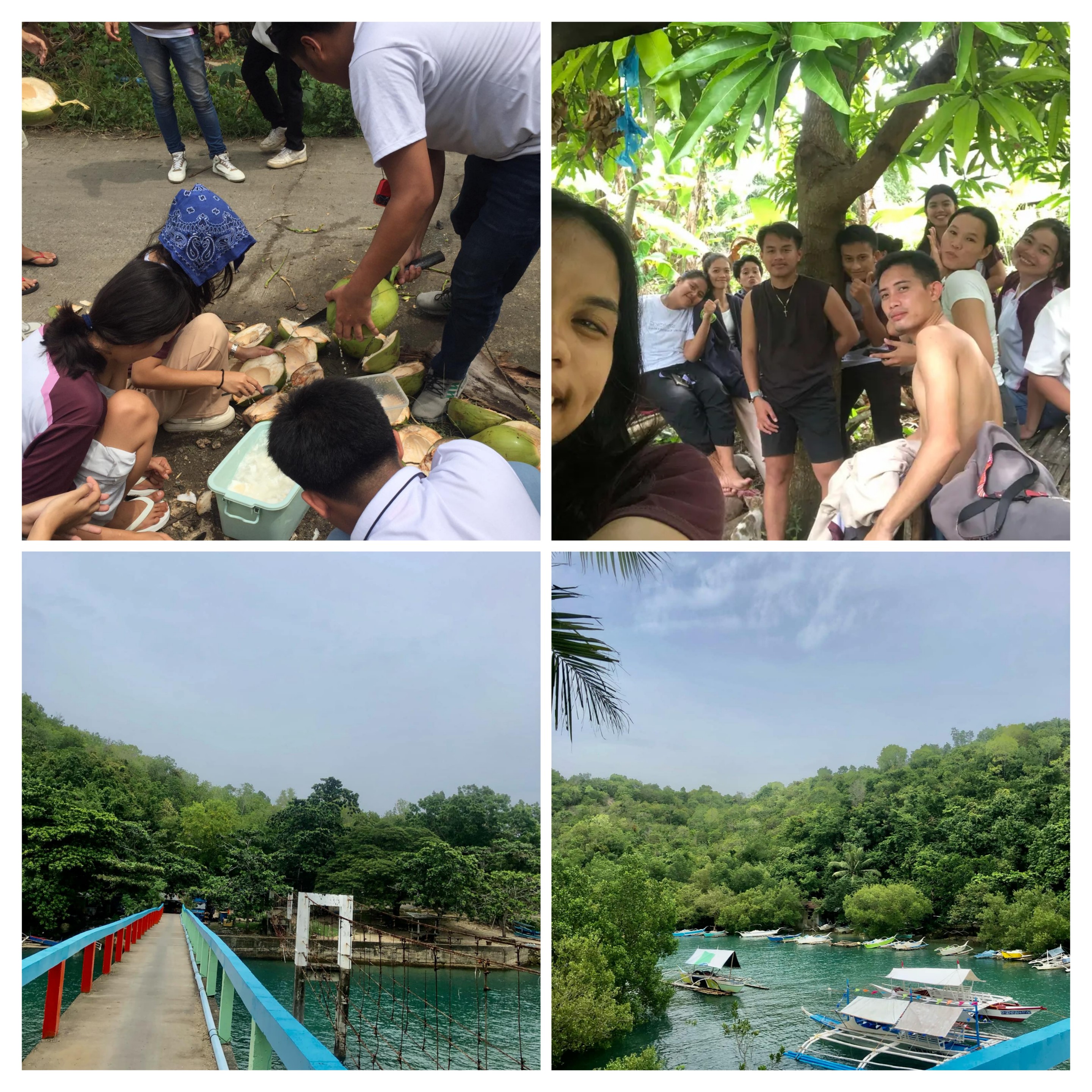 20240930_091322-COLLAGE.jpg